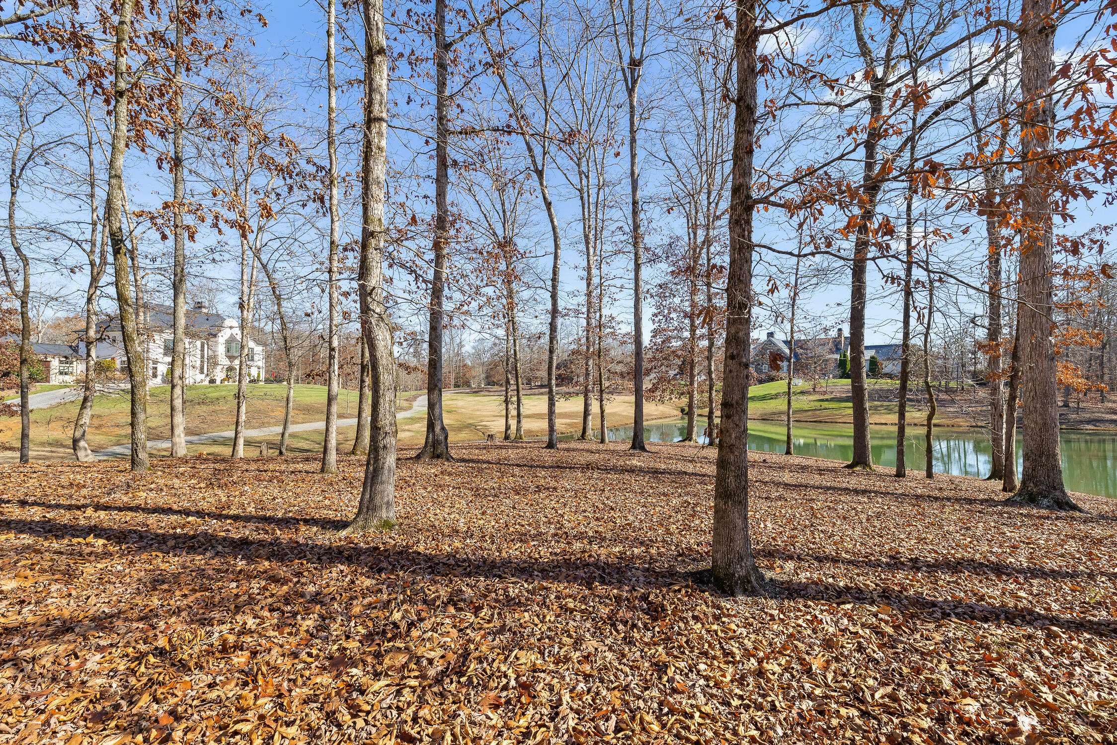 Litchfield Lane, Cleveland, Tennessee image 36
