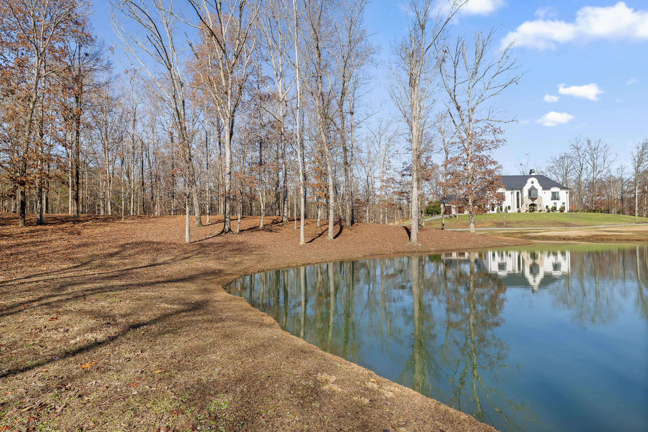 Litchfield Lane, Cleveland, Tennessee image 39
