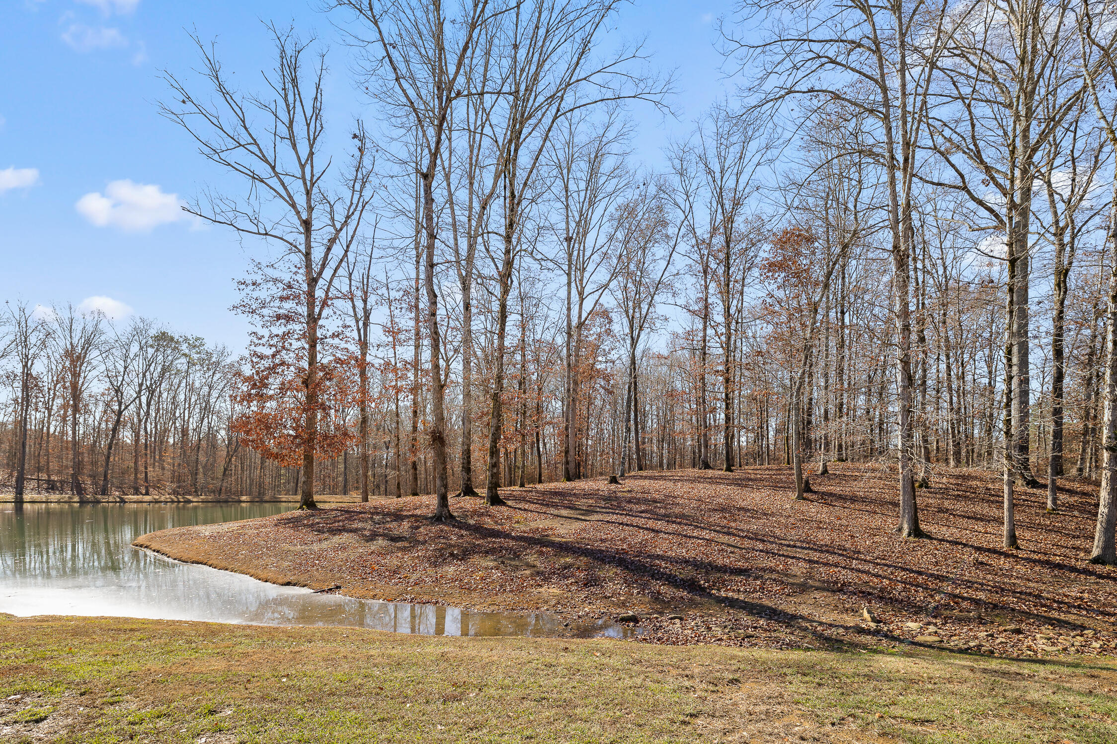 Litchfield Lane, Cleveland, Tennessee image 25