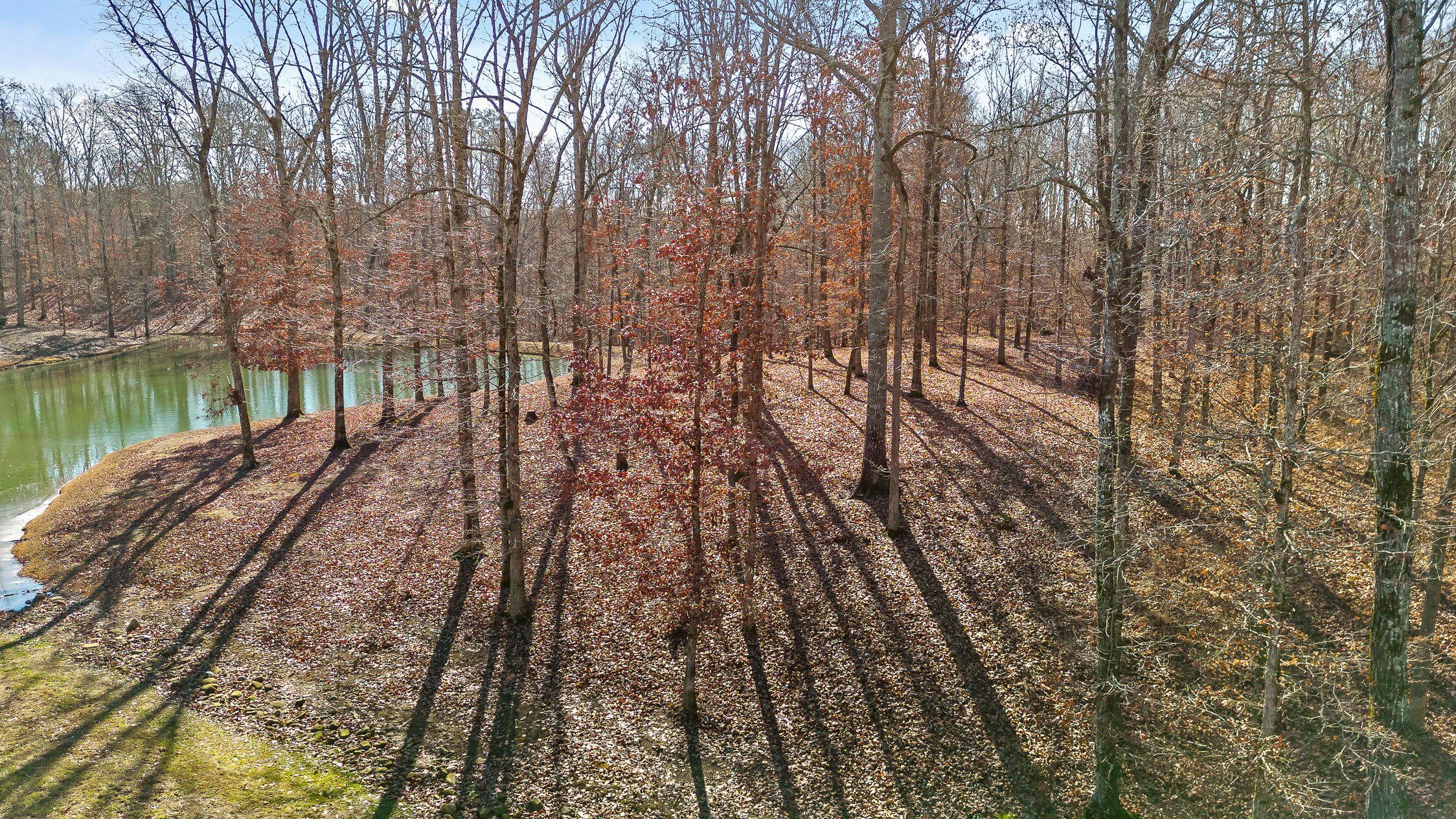 Litchfield Lane, Cleveland, Tennessee image 16