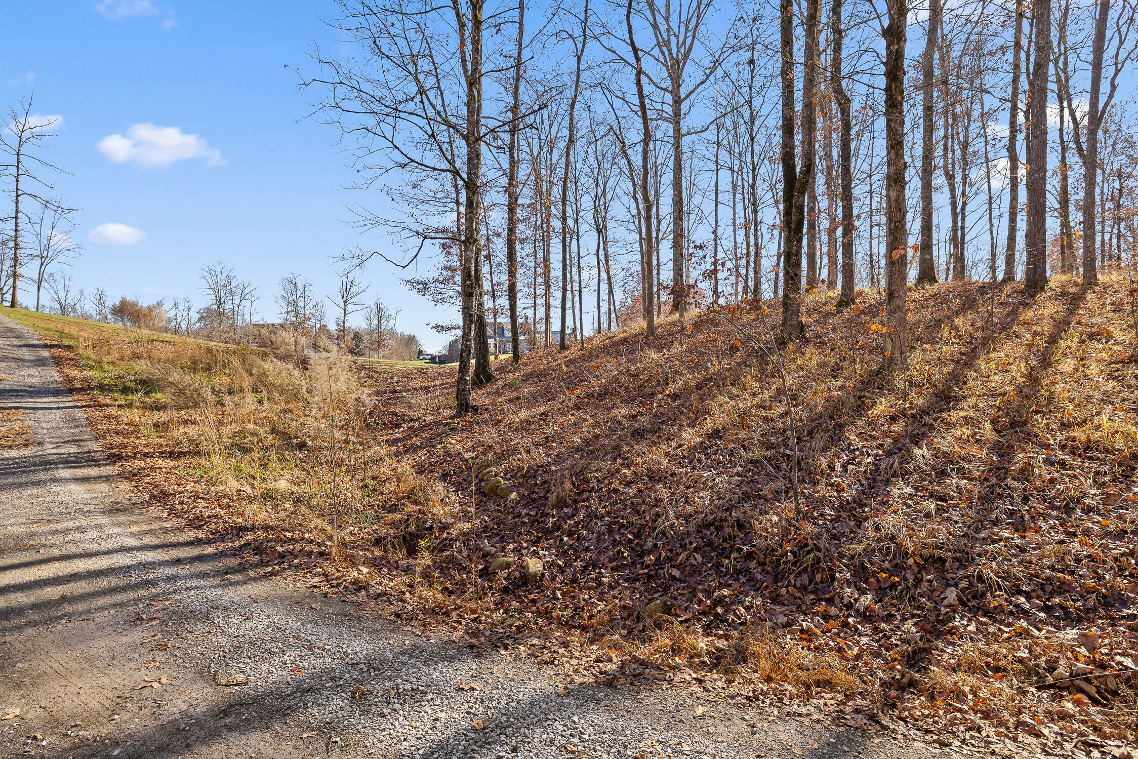 Litchfield Lane, Cleveland, Tennessee image 28