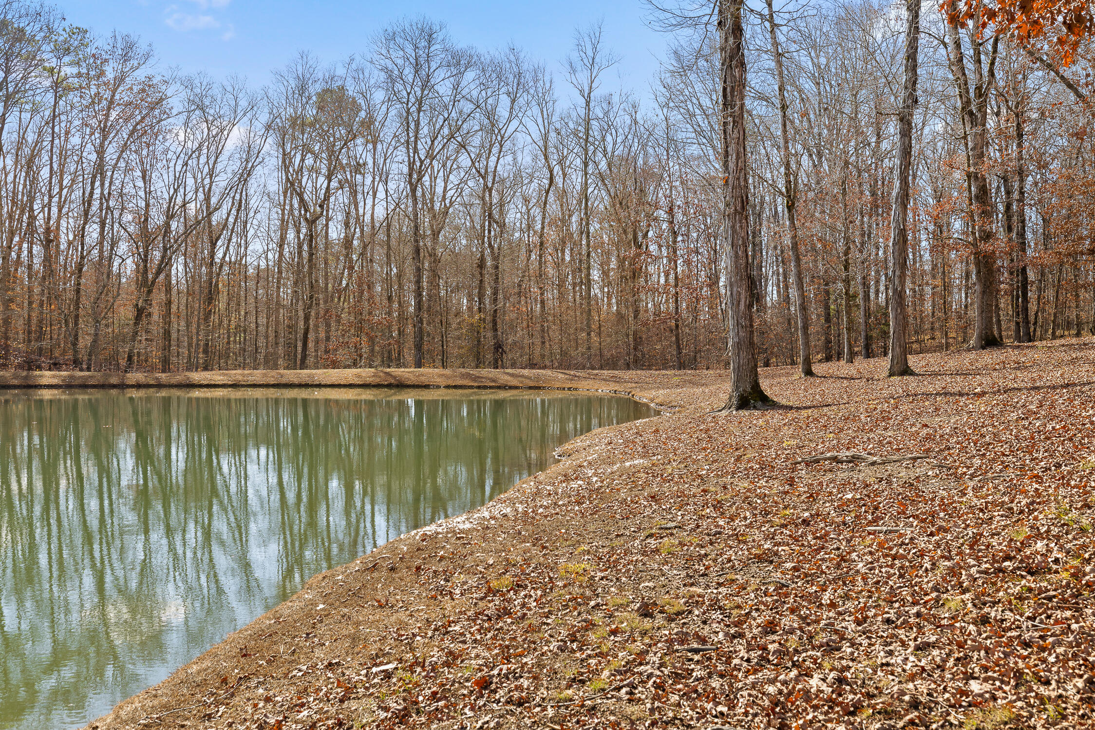 Litchfield Lane, Cleveland, Tennessee image 40