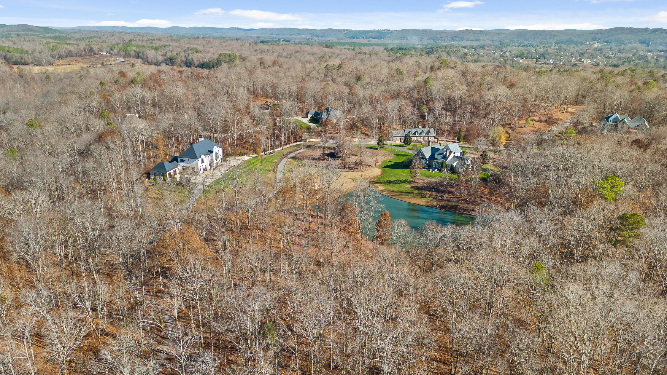 Litchfield Lane, Cleveland, Tennessee image 11