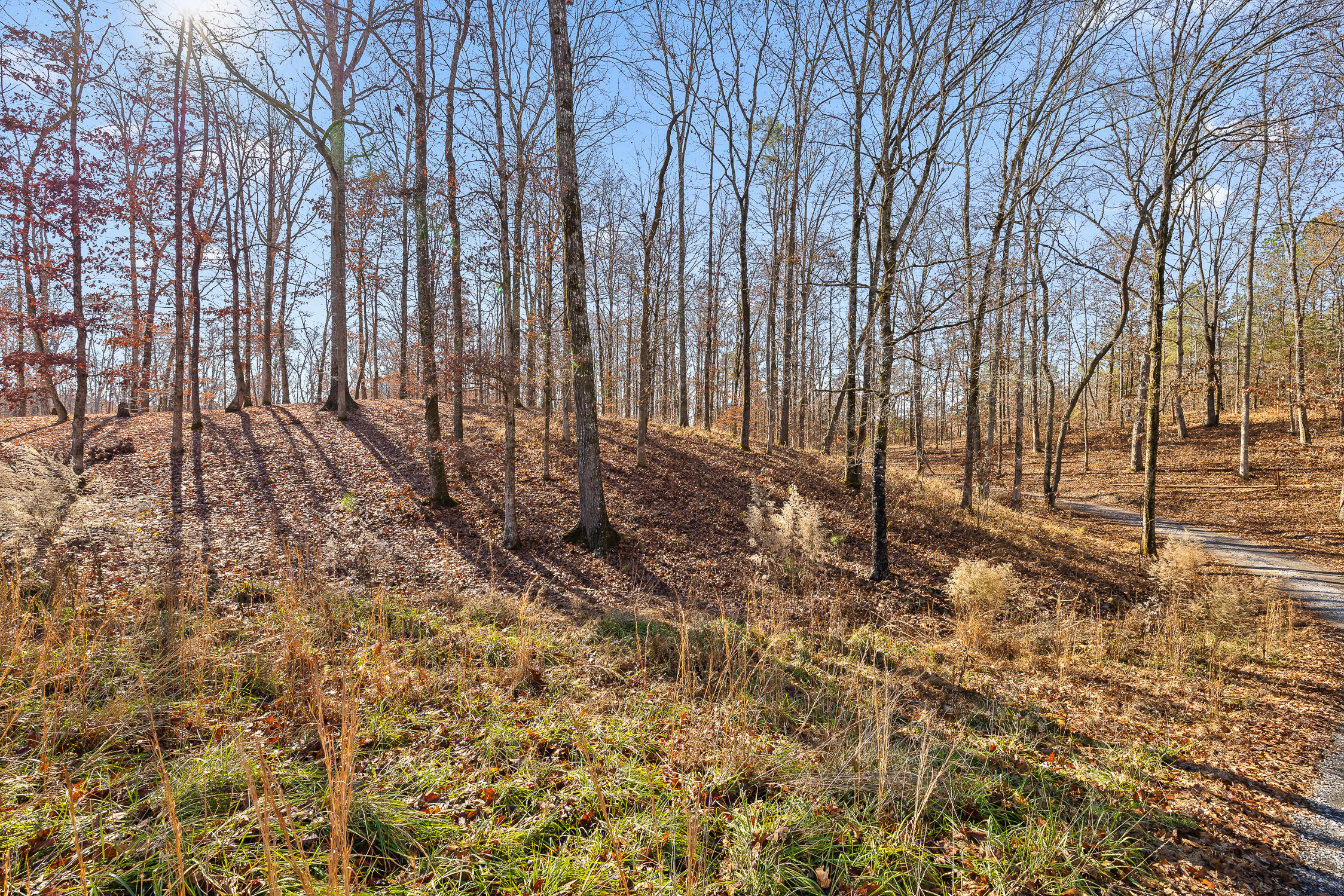 Litchfield Lane, Cleveland, Tennessee image 27