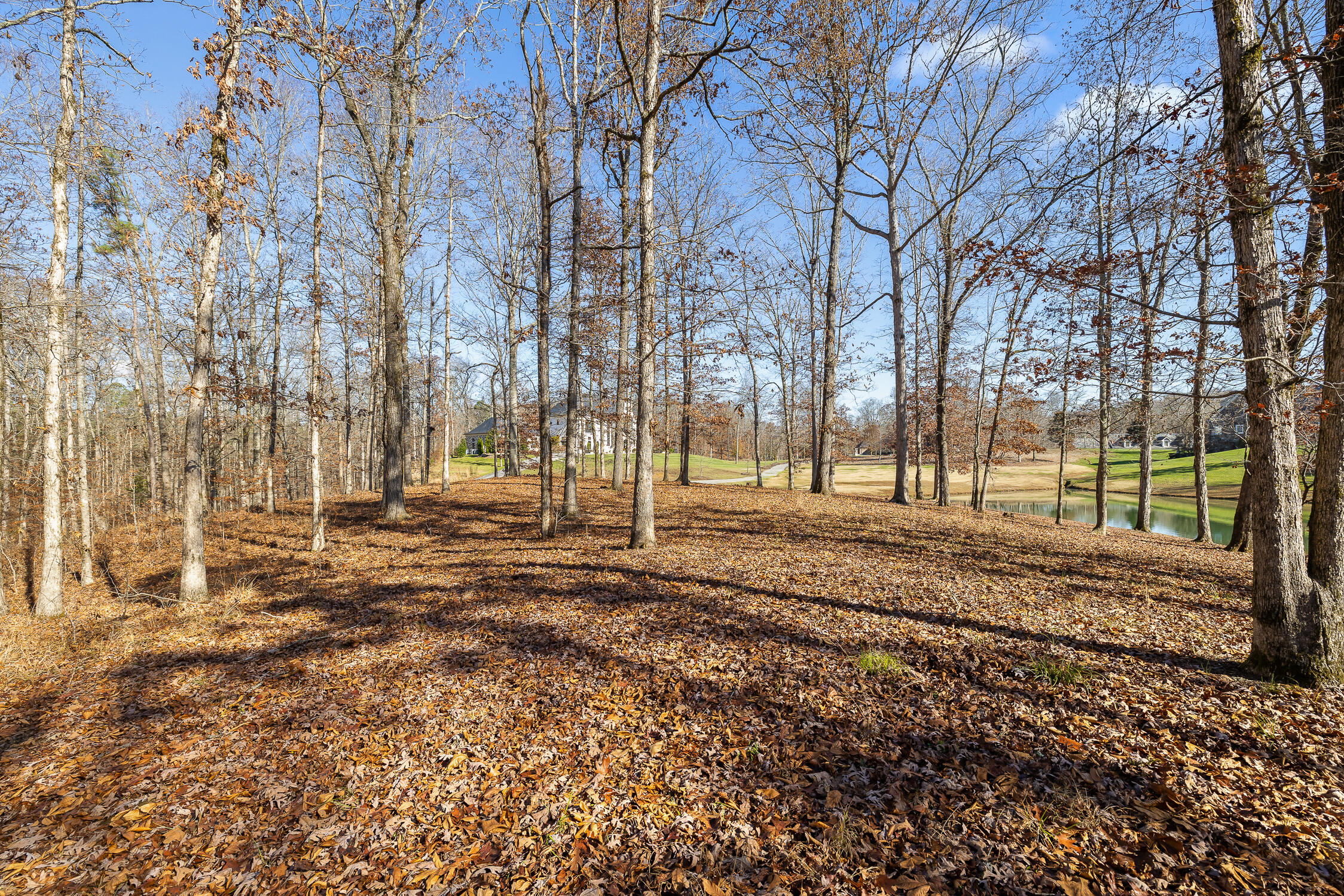 Litchfield Lane, Cleveland, Tennessee image 37