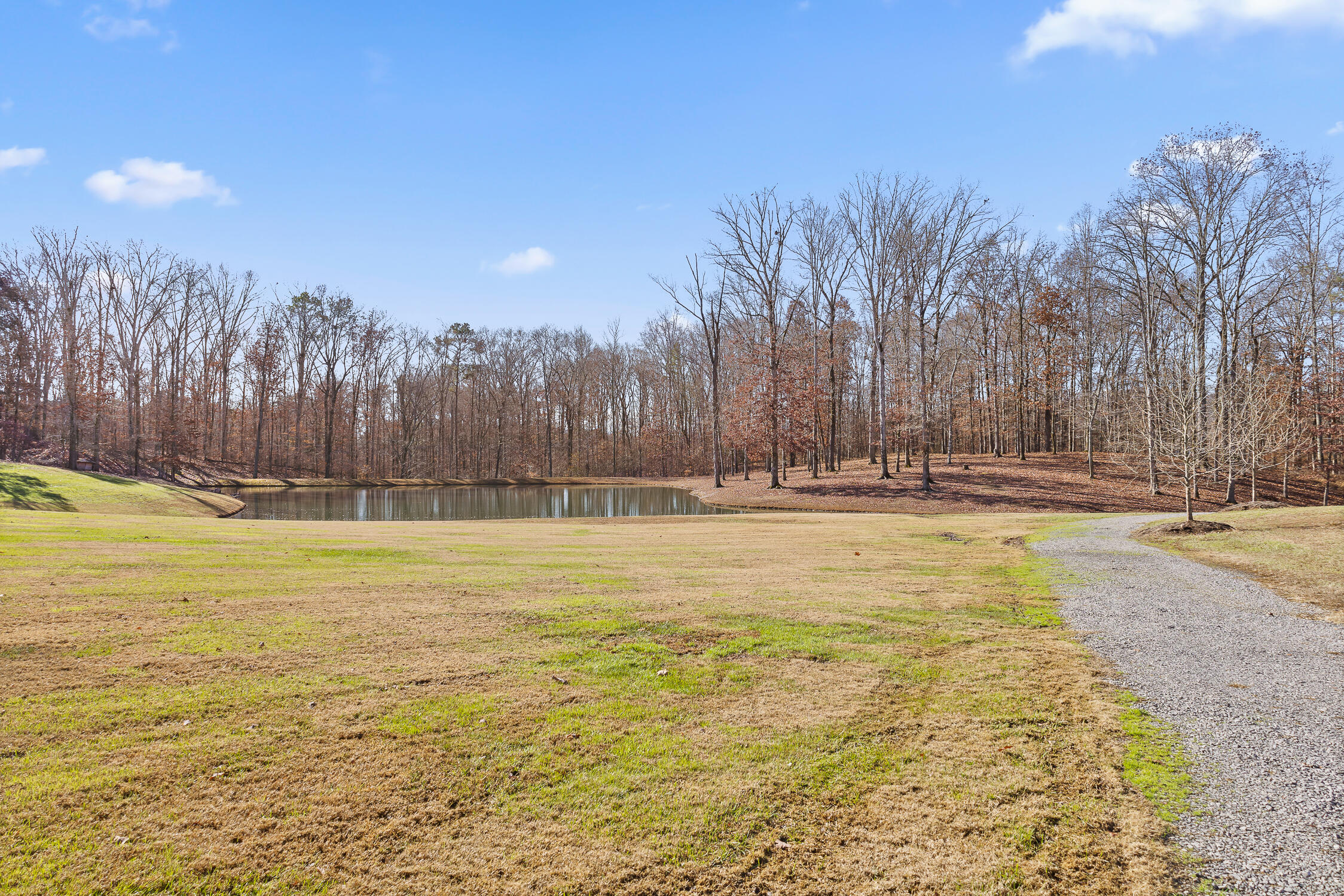 Litchfield Lane, Cleveland, Tennessee image 24