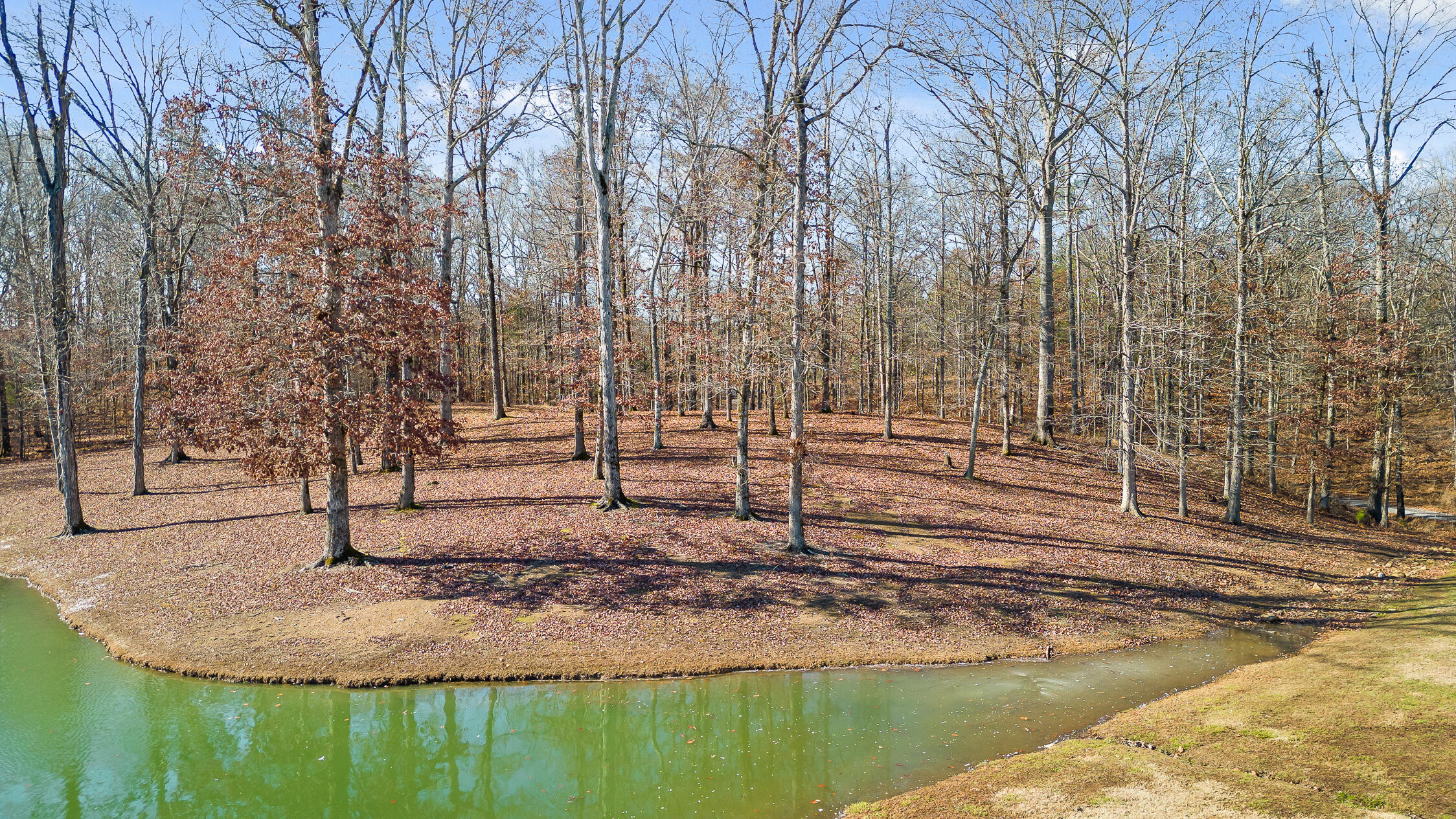 Litchfield Lane, Cleveland, Tennessee image 15