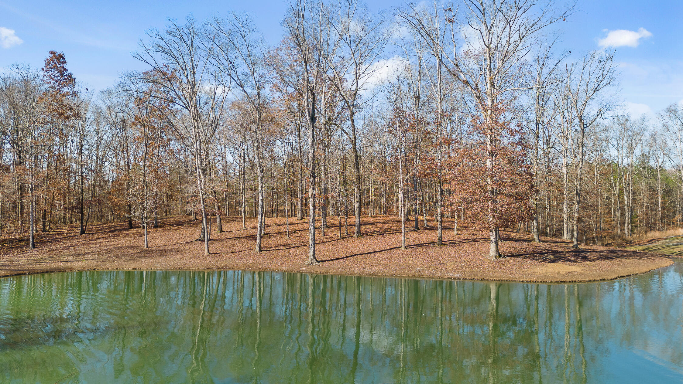 Litchfield Lane, Cleveland, Tennessee image 2