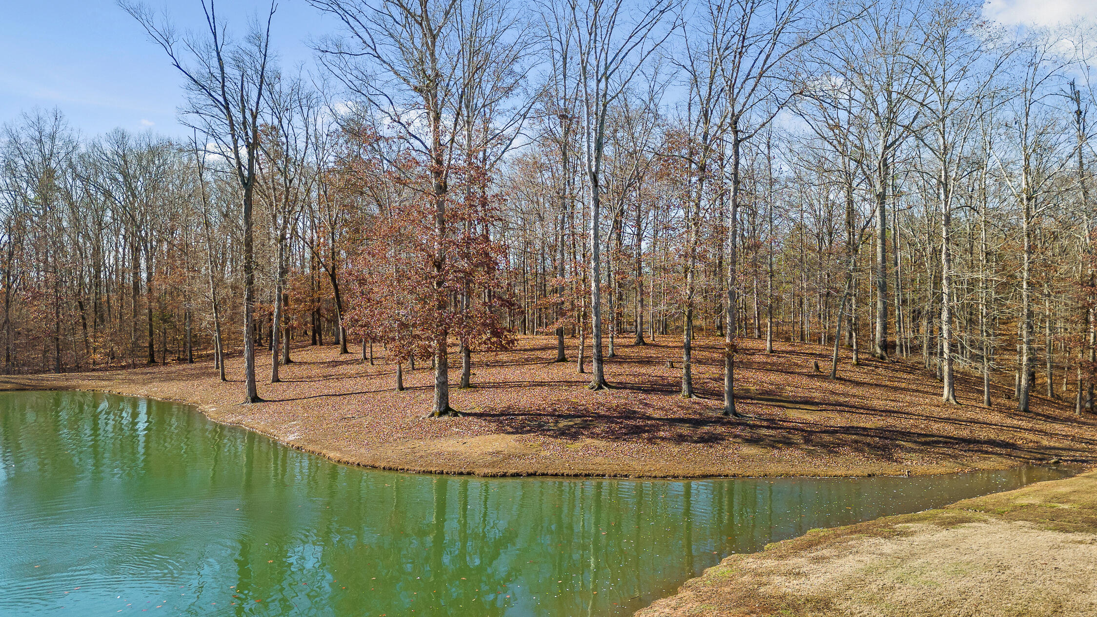 Litchfield Lane, Cleveland, Tennessee image 4