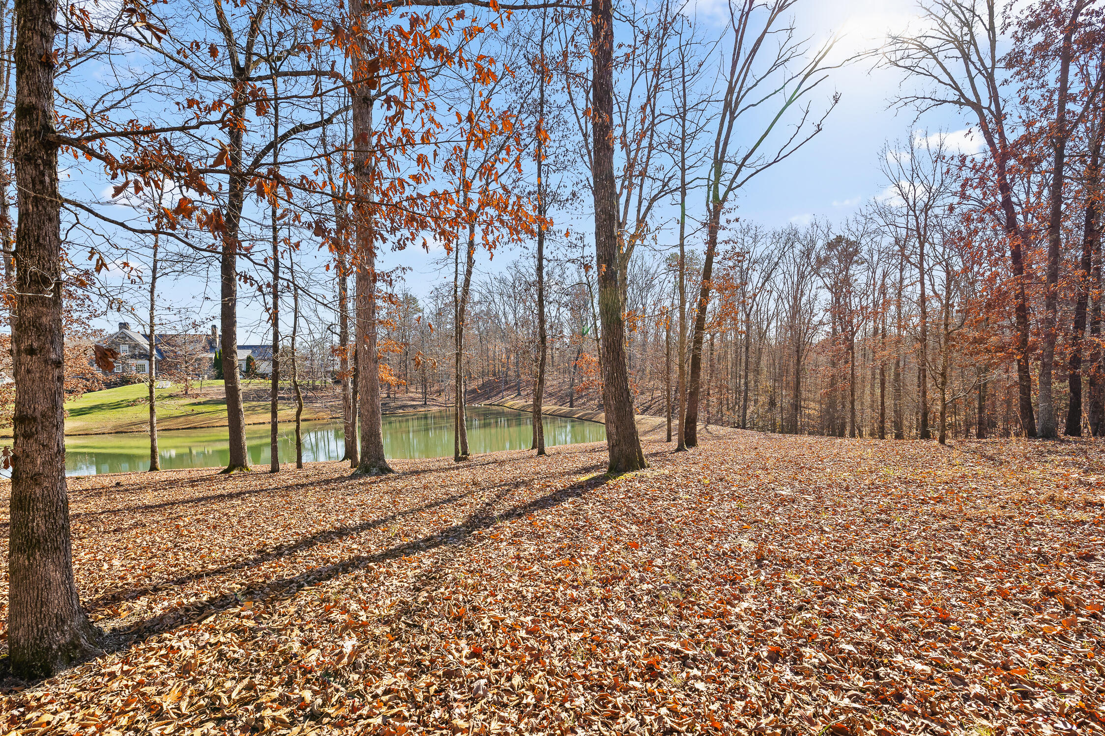 Litchfield Lane, Cleveland, Tennessee image 35