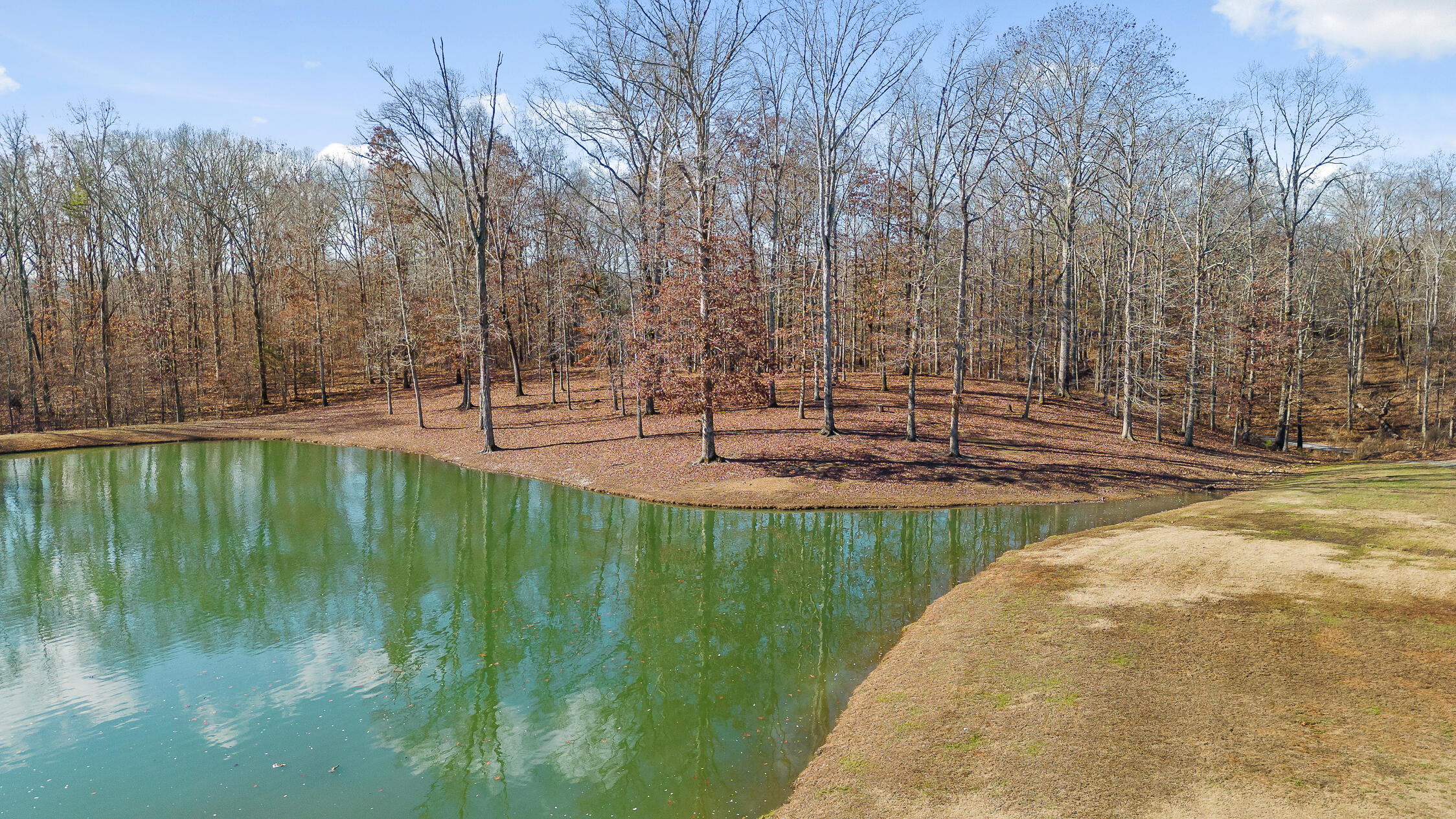 Litchfield Lane, Cleveland, Tennessee image 18