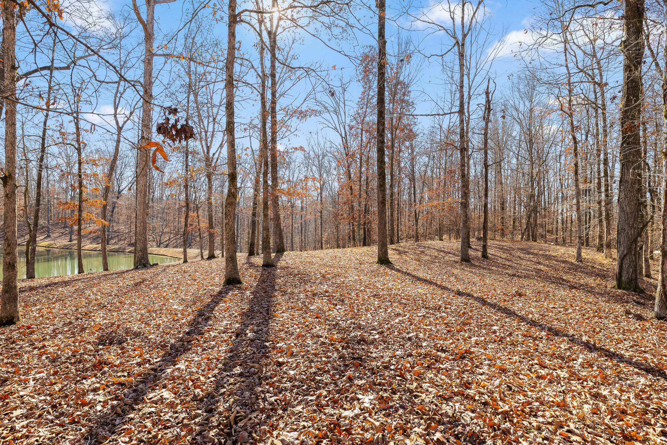 Litchfield Lane, Cleveland, Tennessee image 33