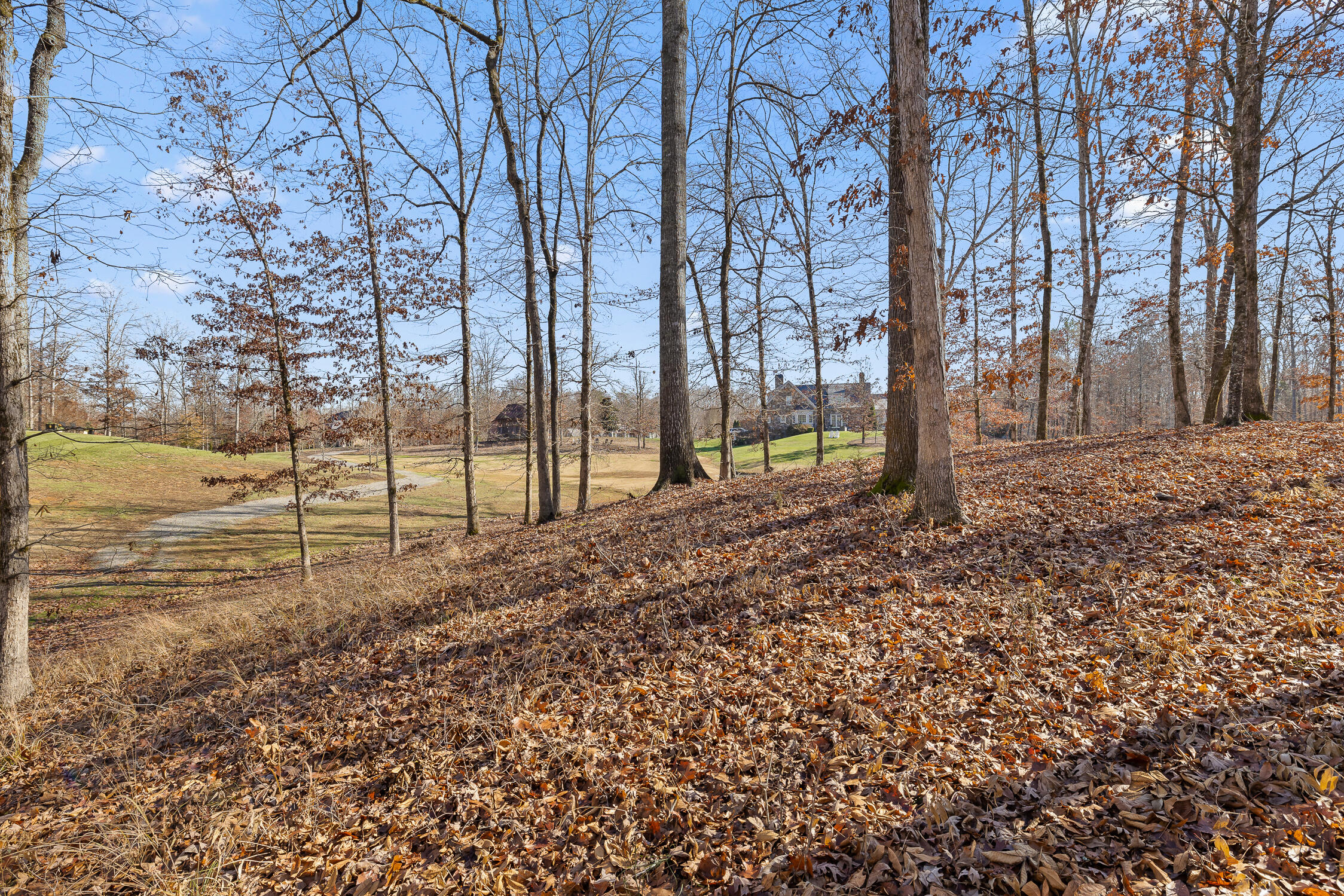 Litchfield Lane, Cleveland, Tennessee image 29