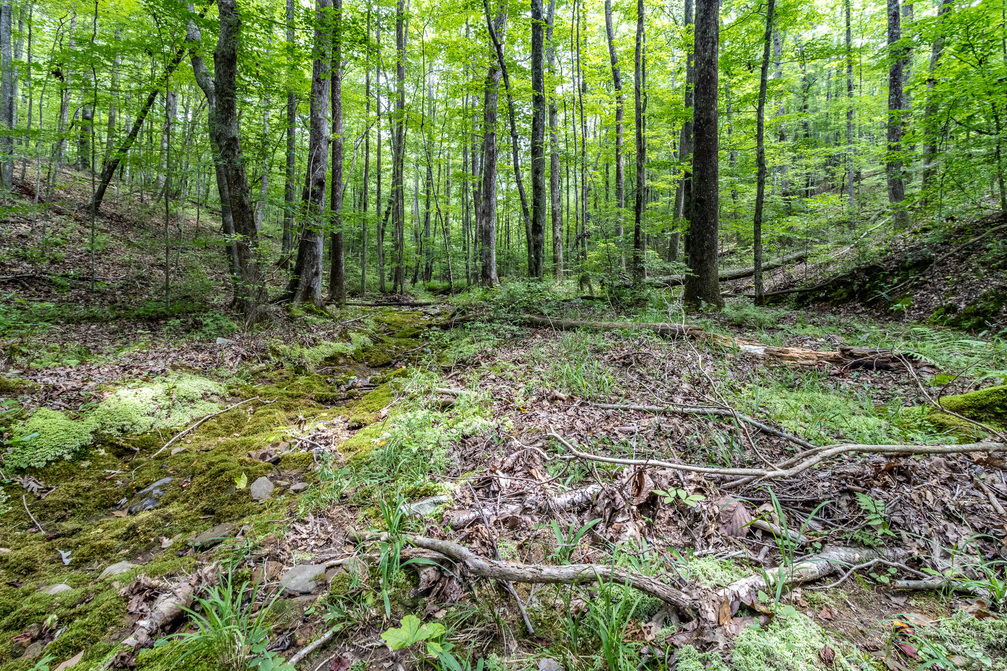 1130 Old Harris Turnpike Road, South Pittsburg, Tennessee image 10