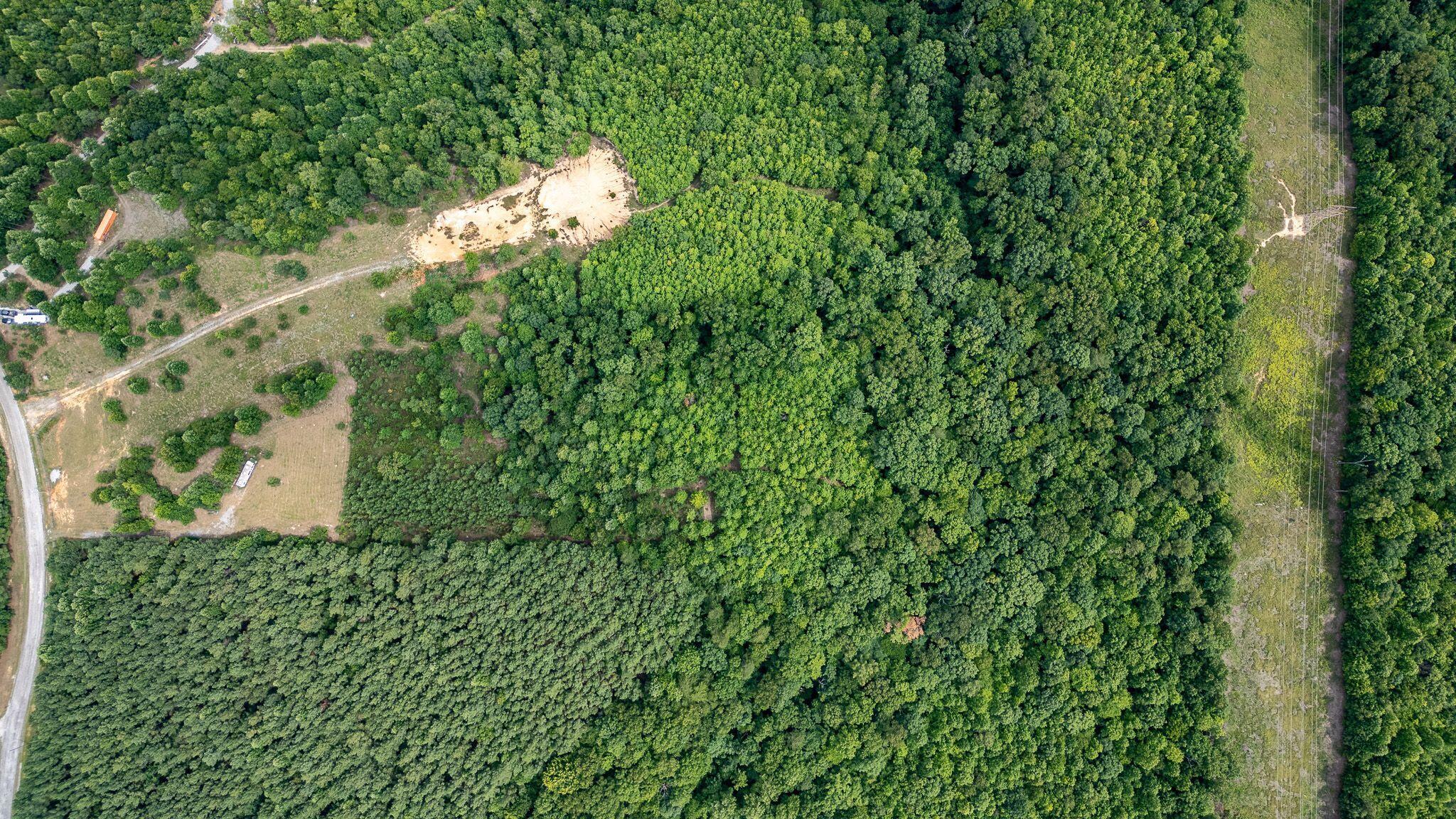 1130 Old Harris Turnpike Road, South Pittsburg, Tennessee image 2