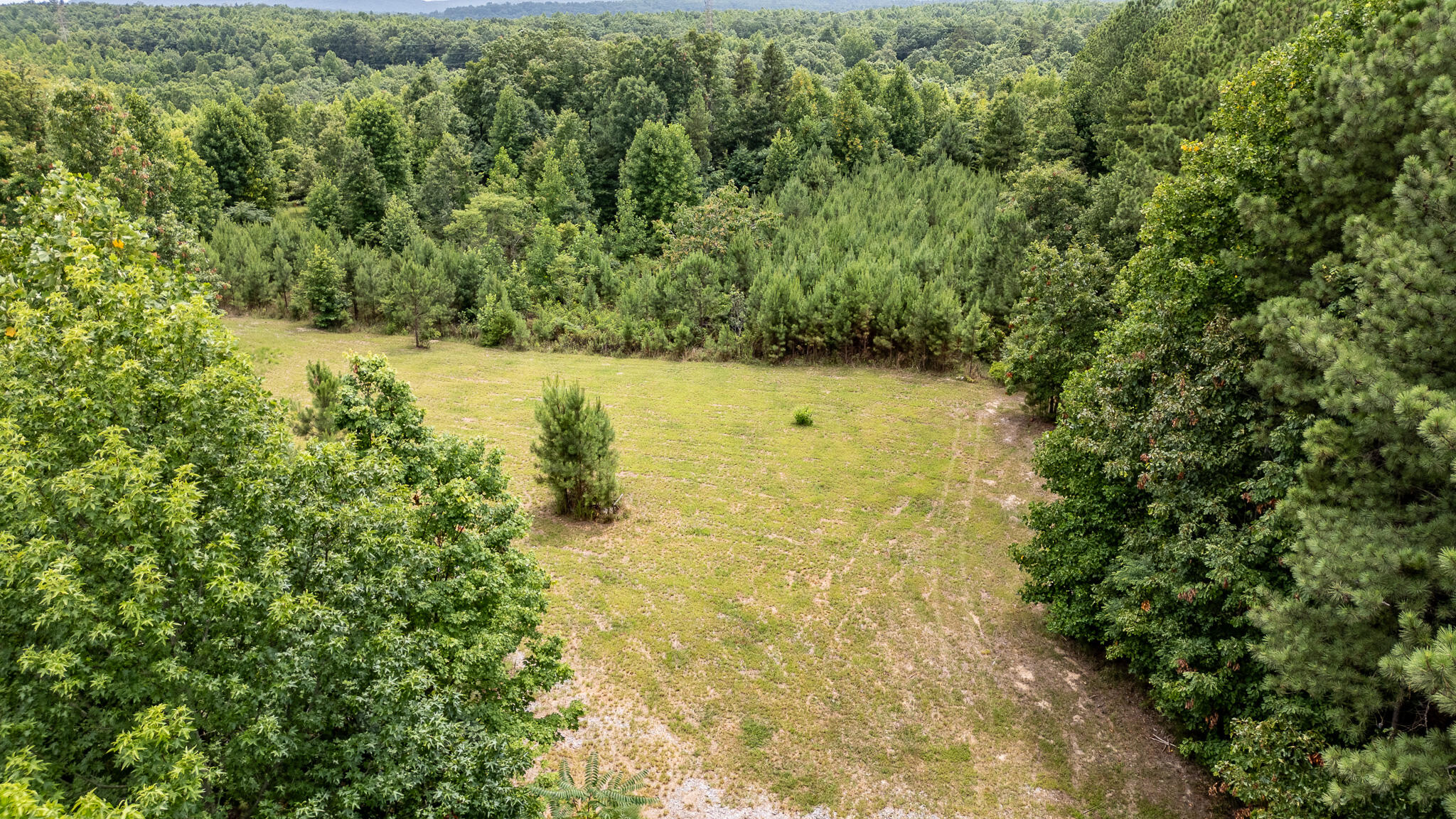 1130 Old Harris Turnpike Road, South Pittsburg, Tennessee image 4