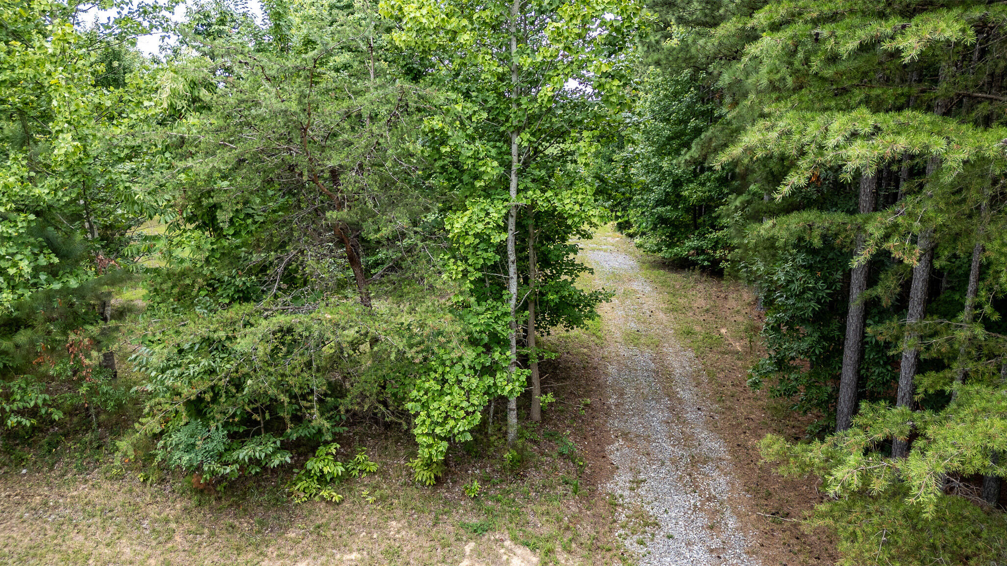 1130 Old Harris Turnpike Road, South Pittsburg, Tennessee image 5