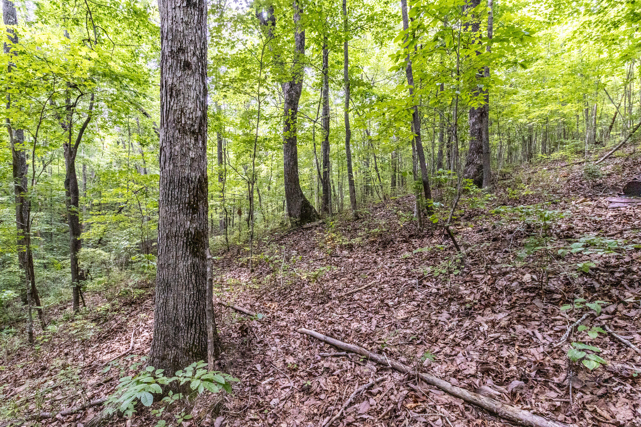 1130 Old Harris Turnpike Road, South Pittsburg, Tennessee image 11