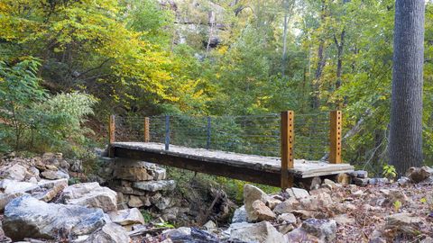 Tiny photo for 0 Moonlight Lane, Jasper, TN 37347 (MLS # 1366356)