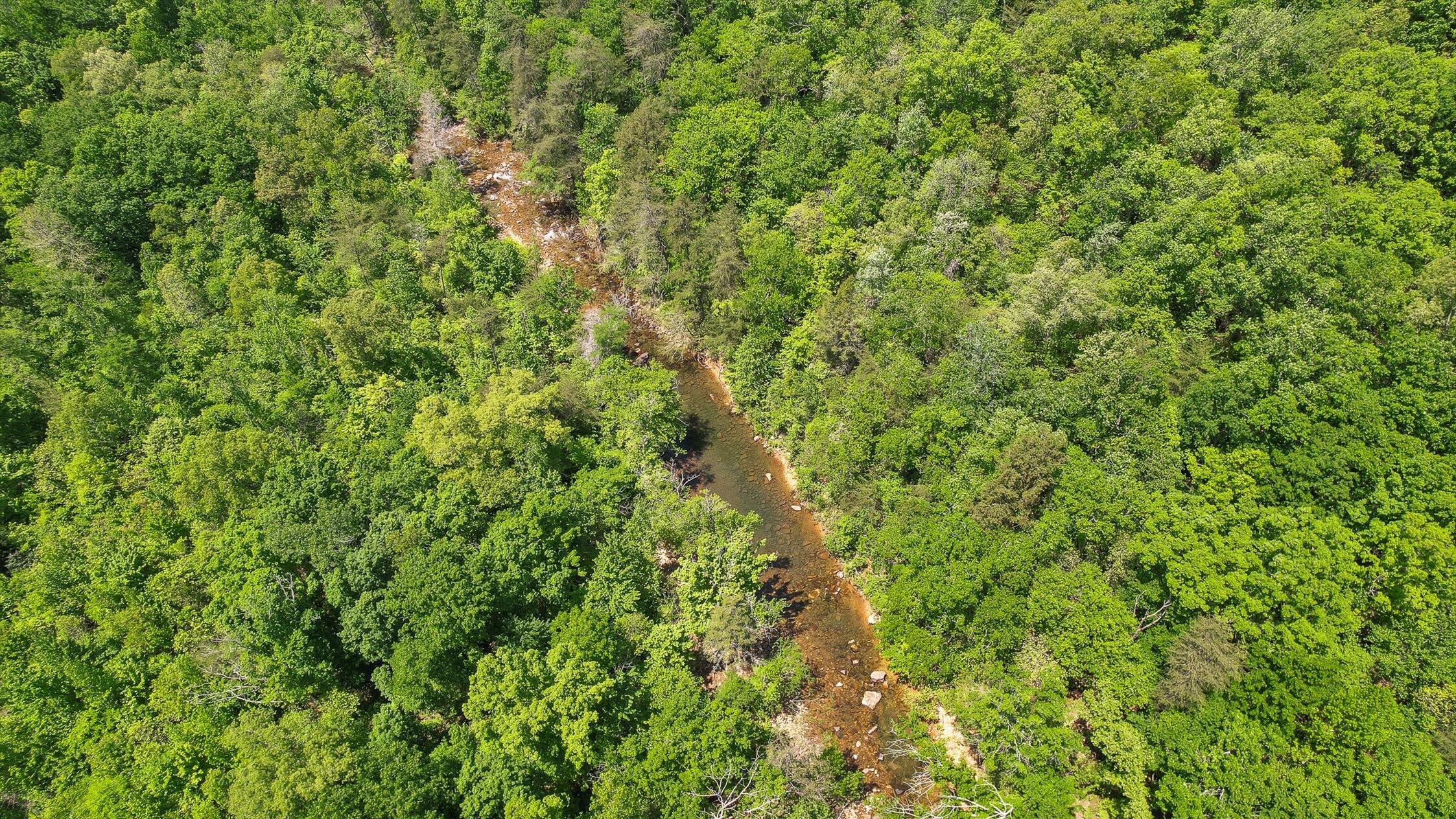 496 Boyd Road, Dunlap, Tennessee image 35