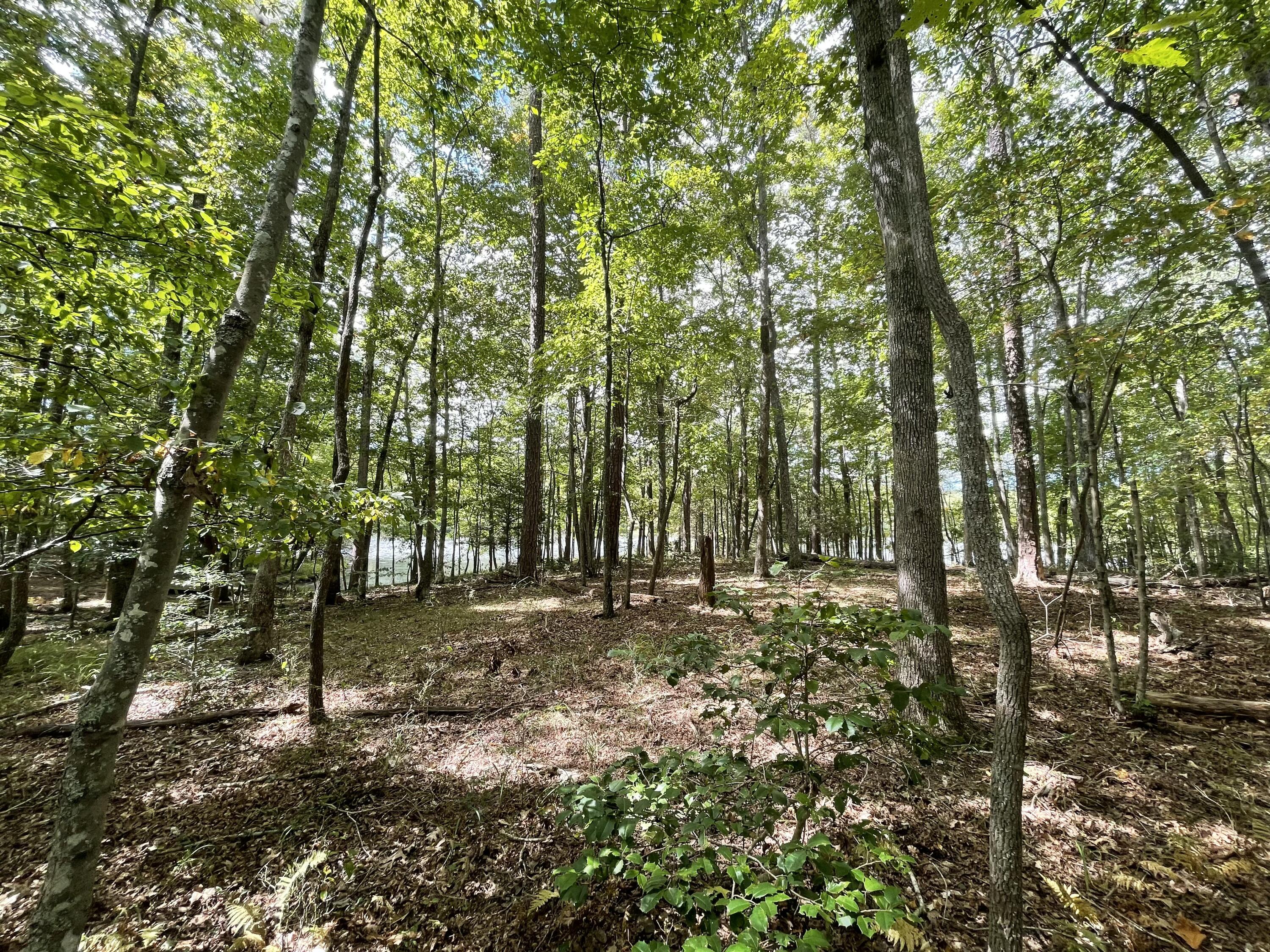 00 Hemlock Drive, Dunlap, Tennessee image 3