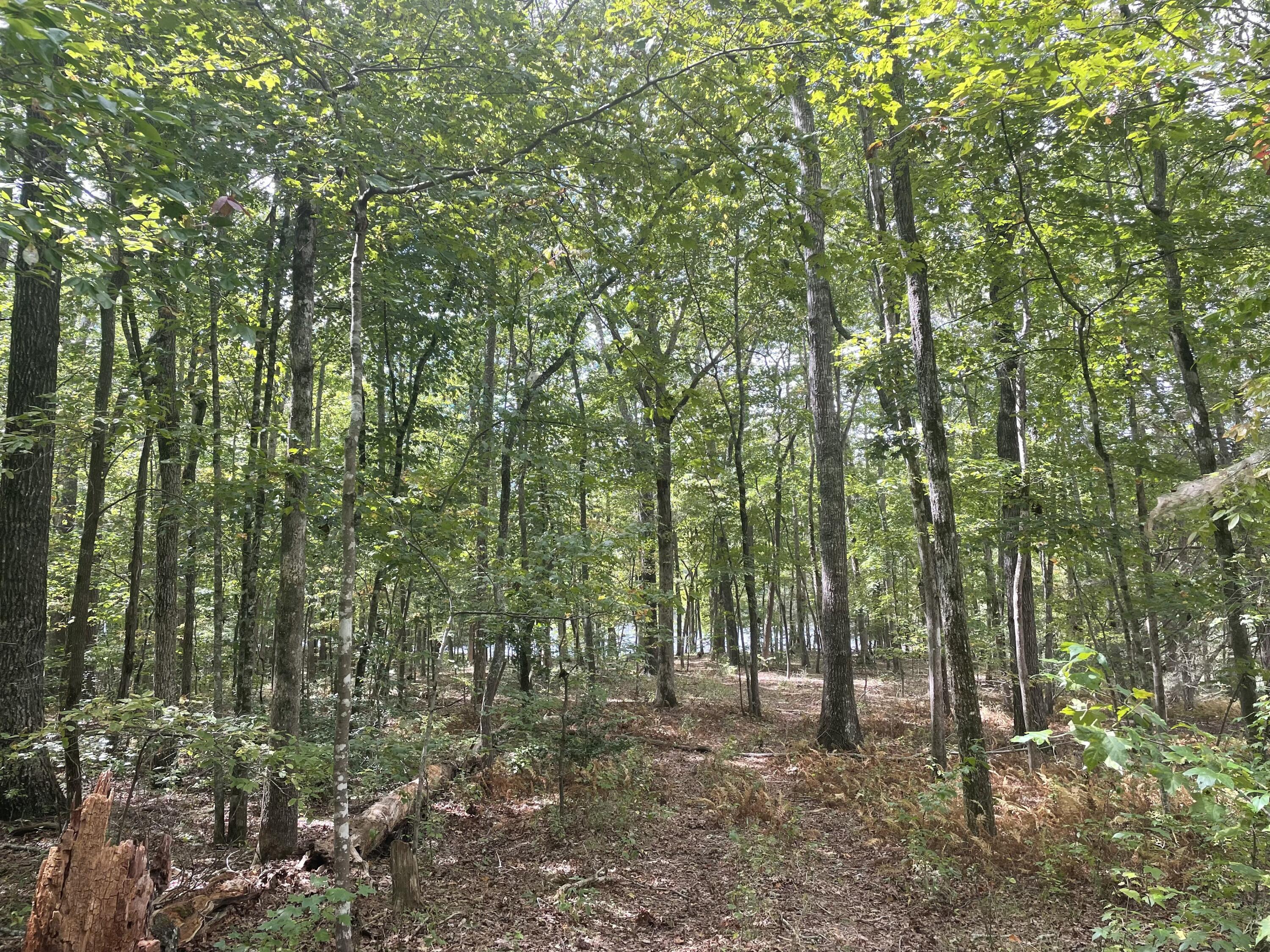 00 Hemlock Drive, Dunlap, Tennessee image 2