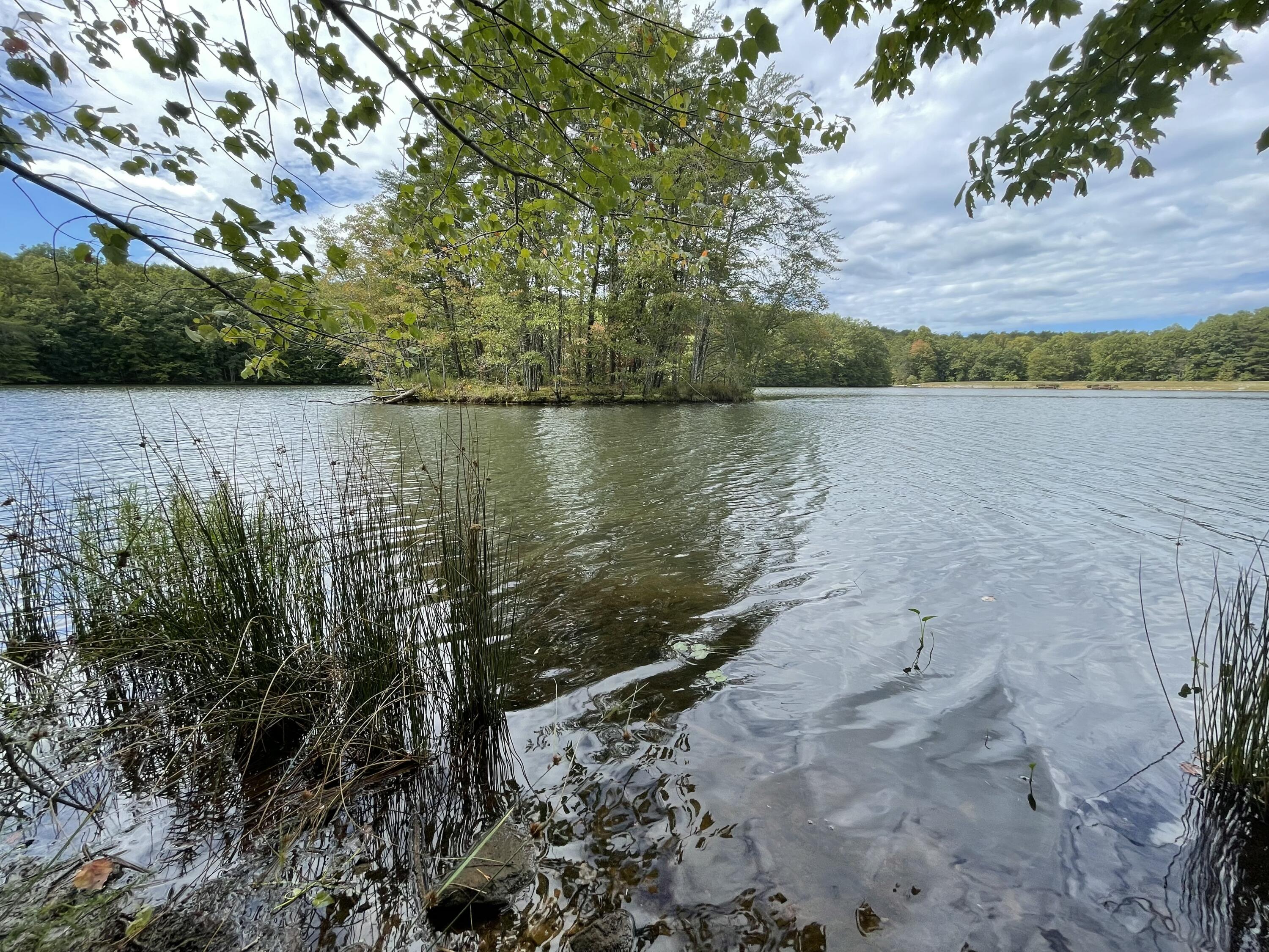 00 Hemlock Drive, Dunlap, Tennessee image 8