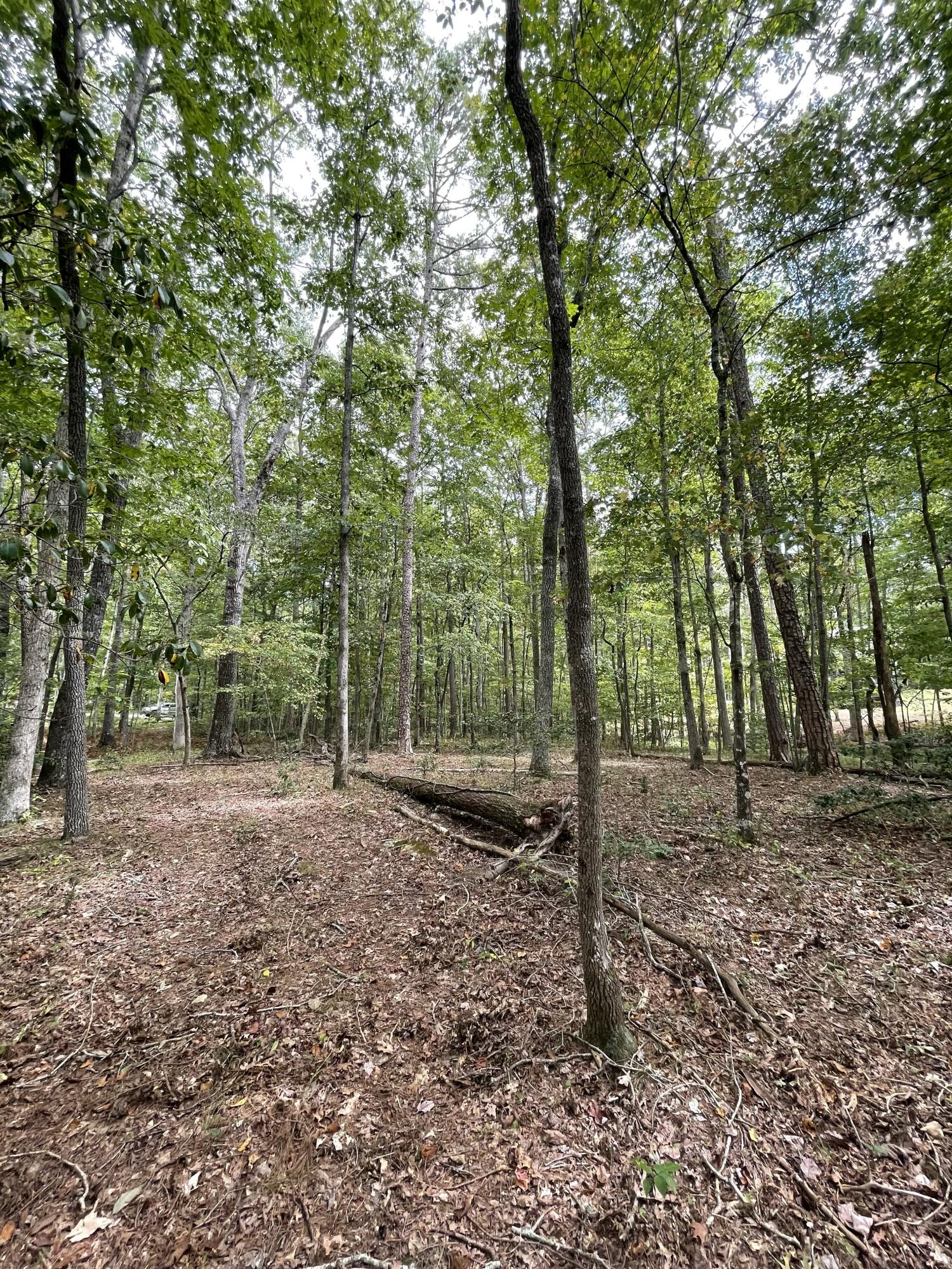 00 Hemlock Drive, Dunlap, Tennessee image 17