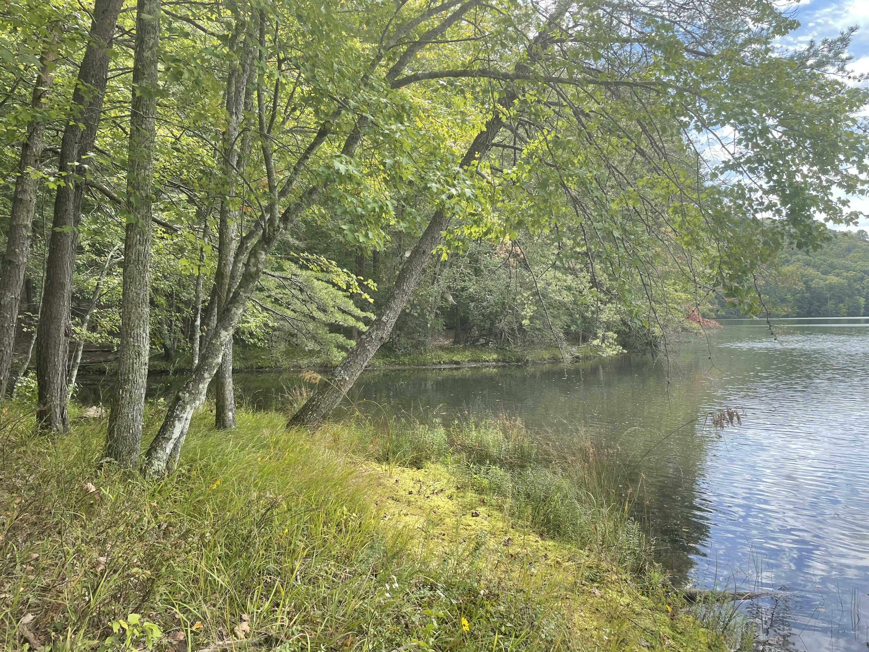 00 Hemlock Drive, Dunlap, Tennessee image 11
