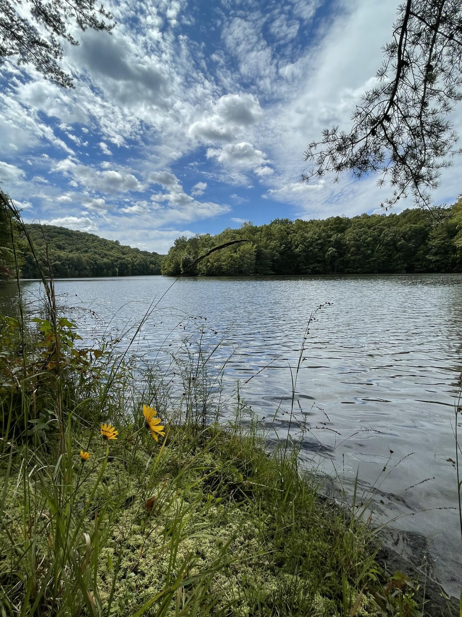 00 Hemlock Drive, Dunlap, Tennessee image 19