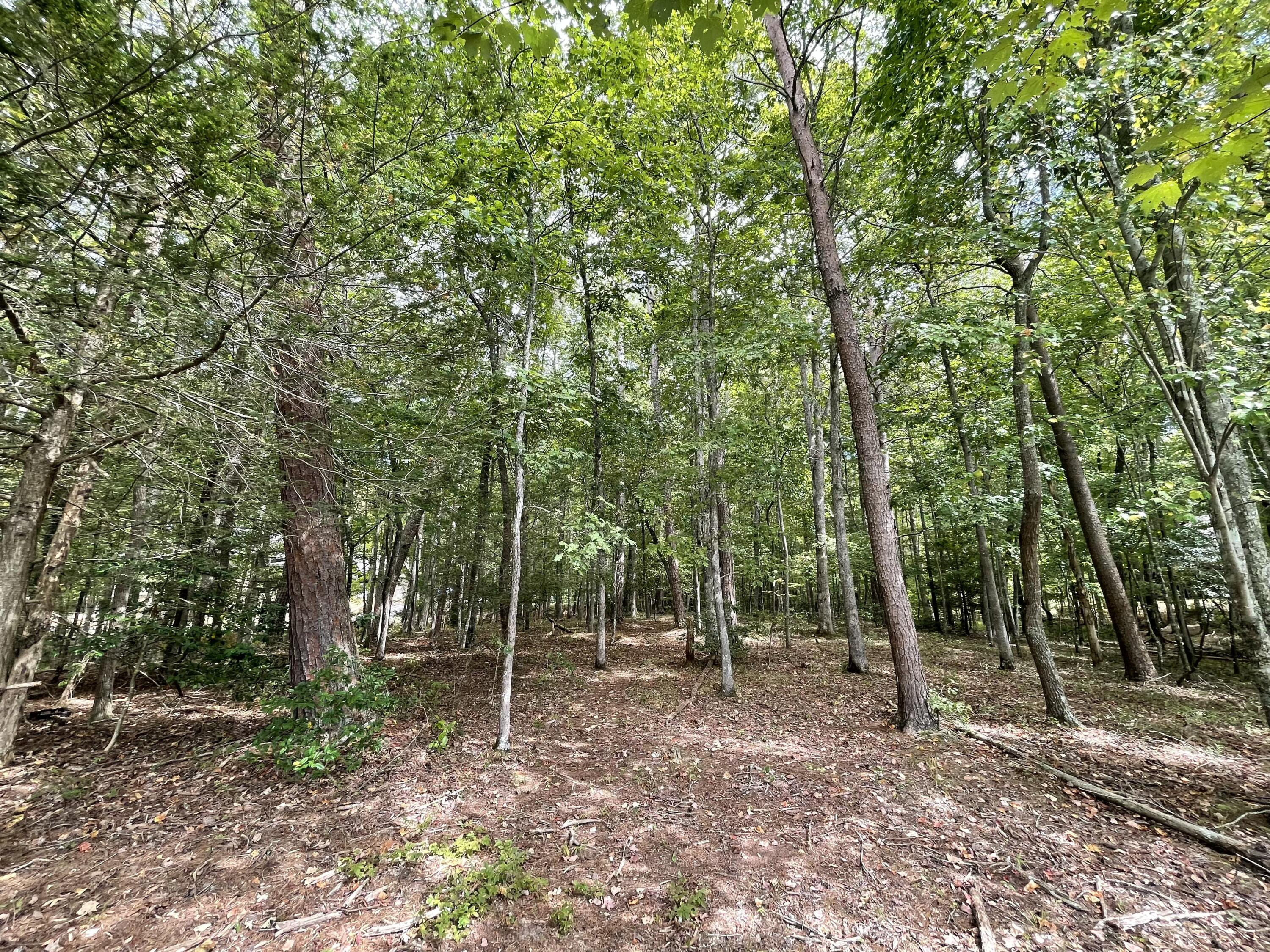 00 Hemlock Drive, Dunlap, Tennessee image 14