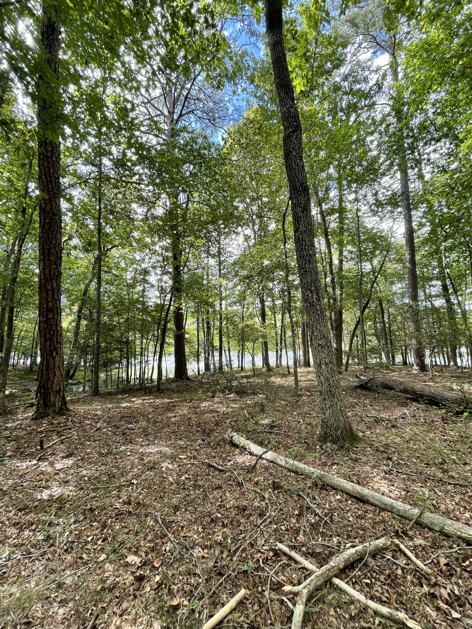 00 Hemlock Drive, Dunlap, Tennessee image 4