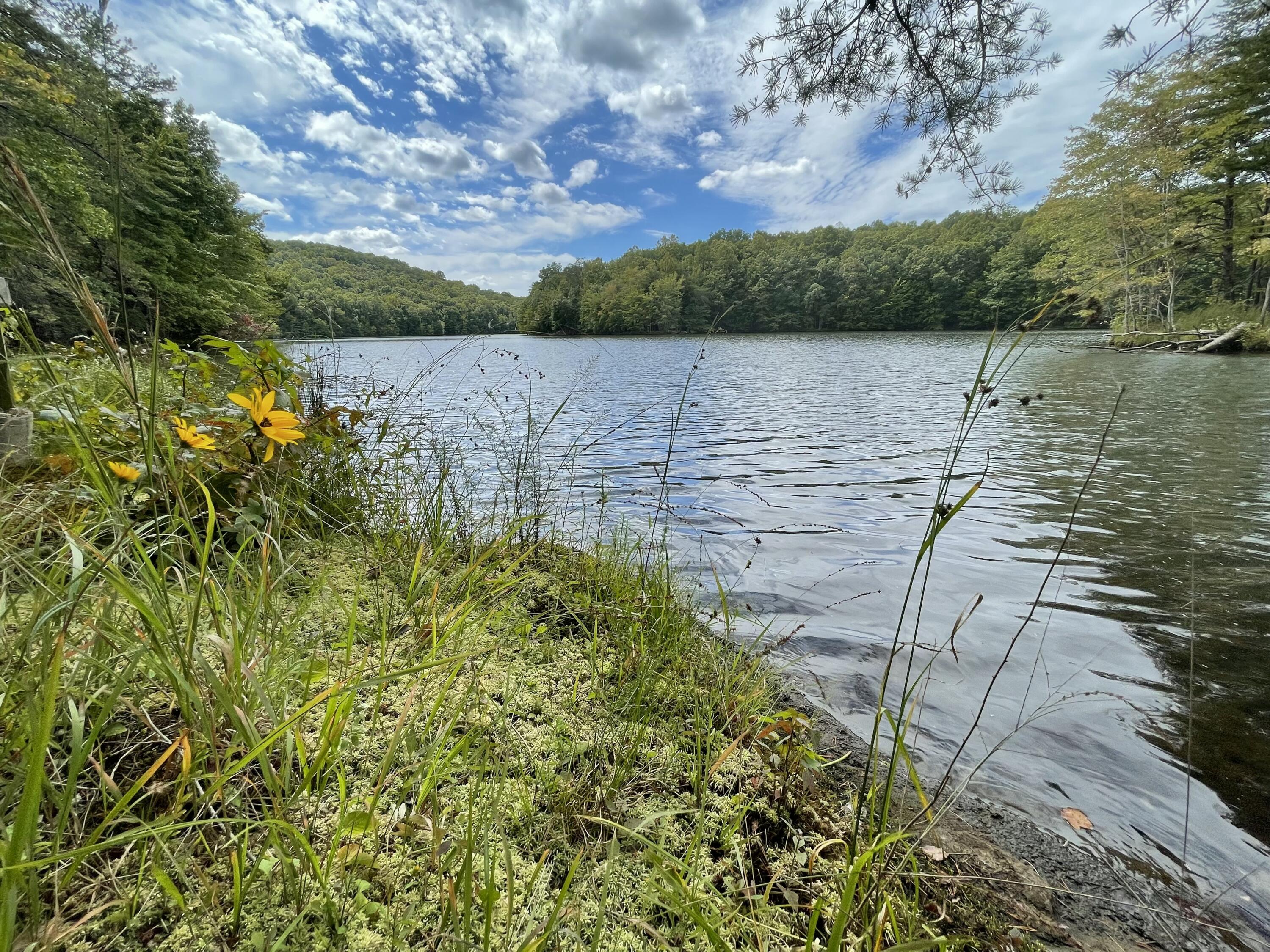 00 Hemlock Drive, Dunlap, Tennessee image 9