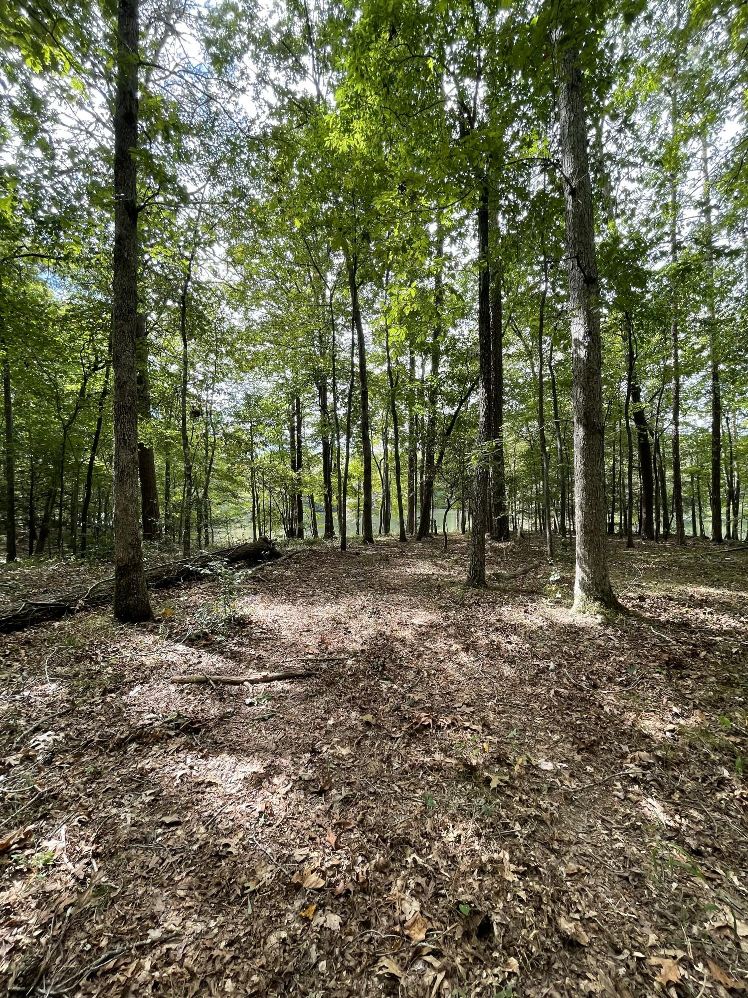 00 Hemlock Drive, Dunlap, Tennessee image 18