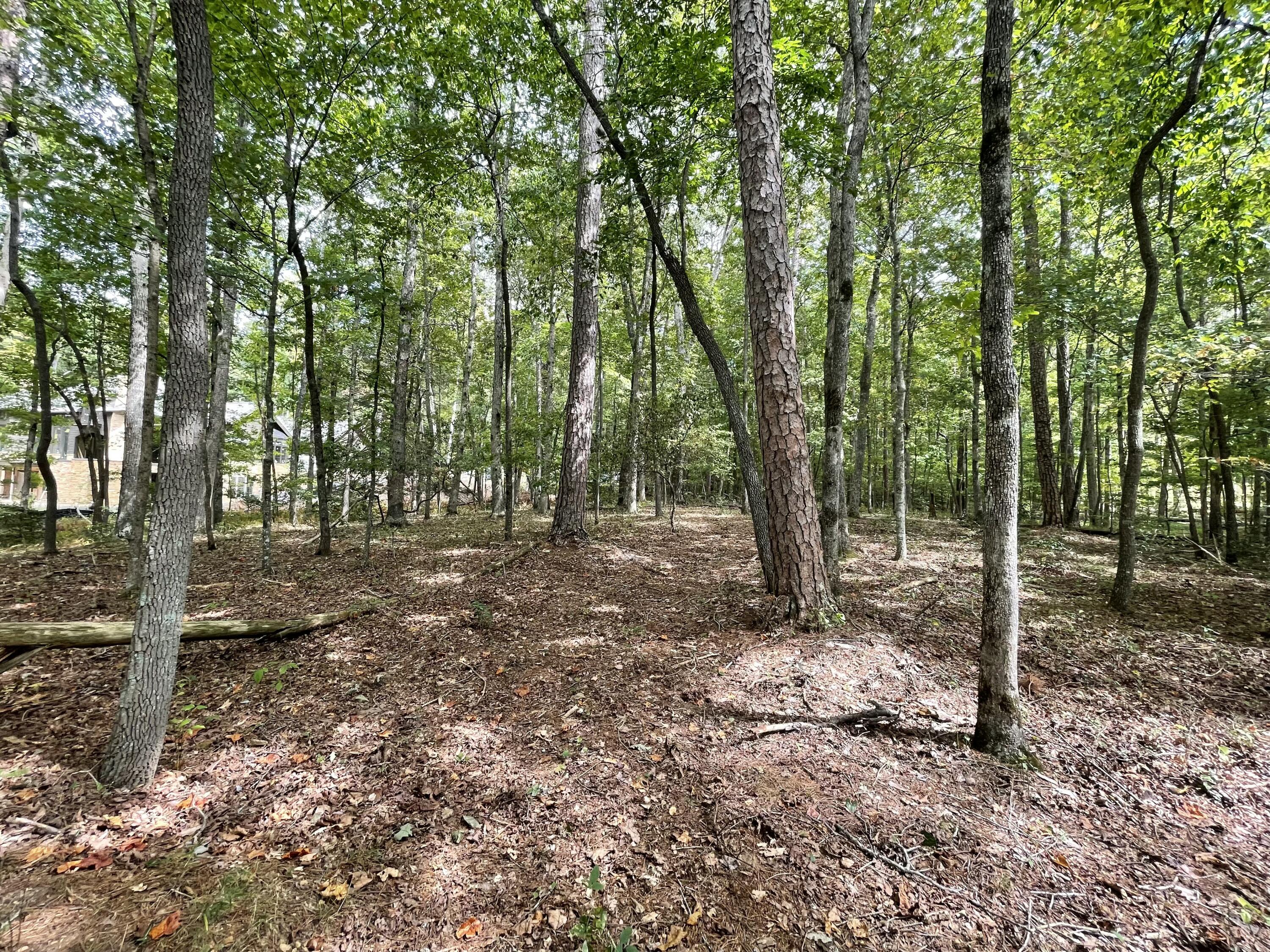 00 Hemlock Drive, Dunlap, Tennessee image 15