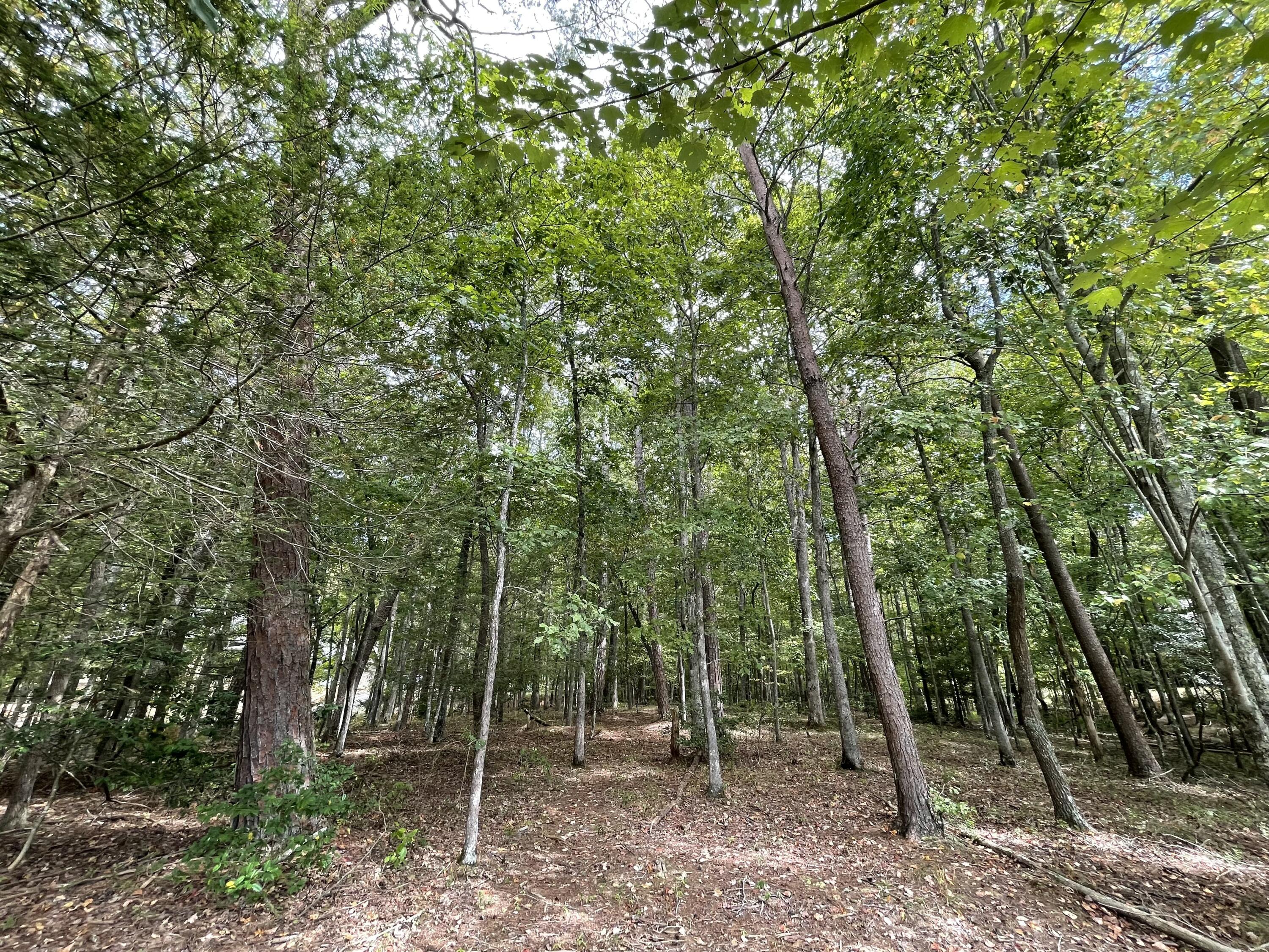 00 Hemlock Drive, Dunlap, Tennessee image 13