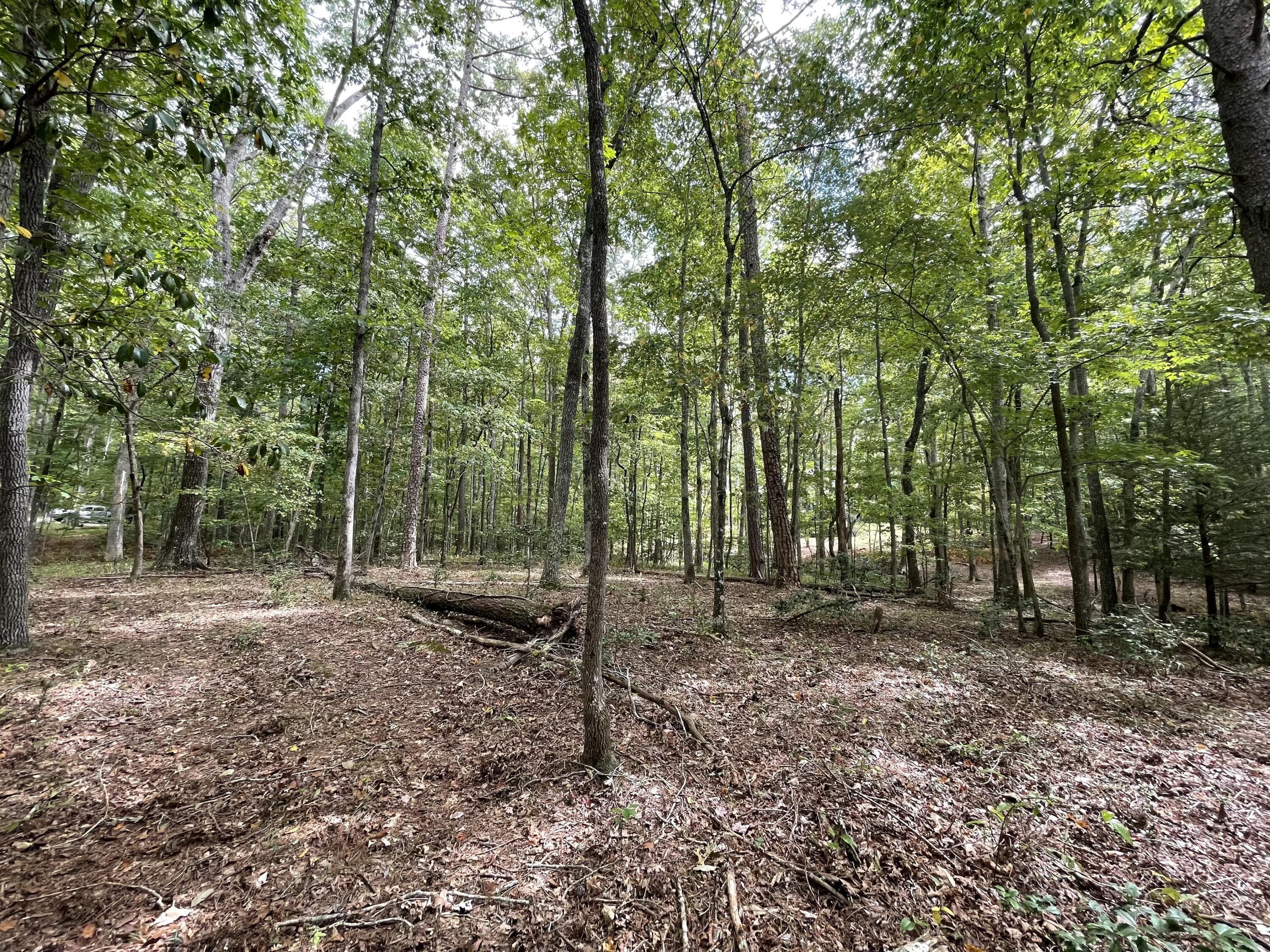 00 Hemlock Drive, Dunlap, Tennessee image 16