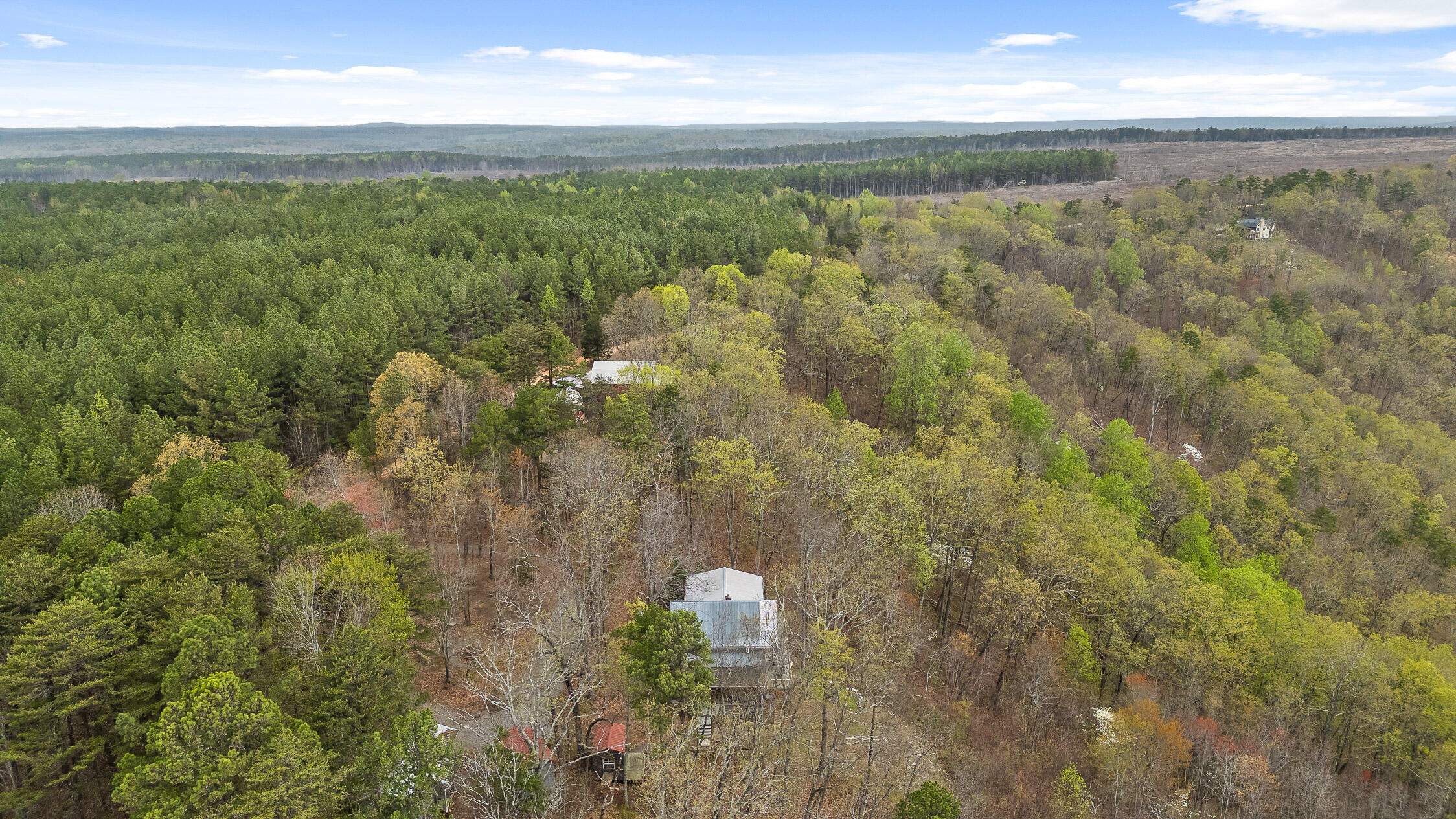 2255 County Road 865, Gaylesville, Alabama image 47