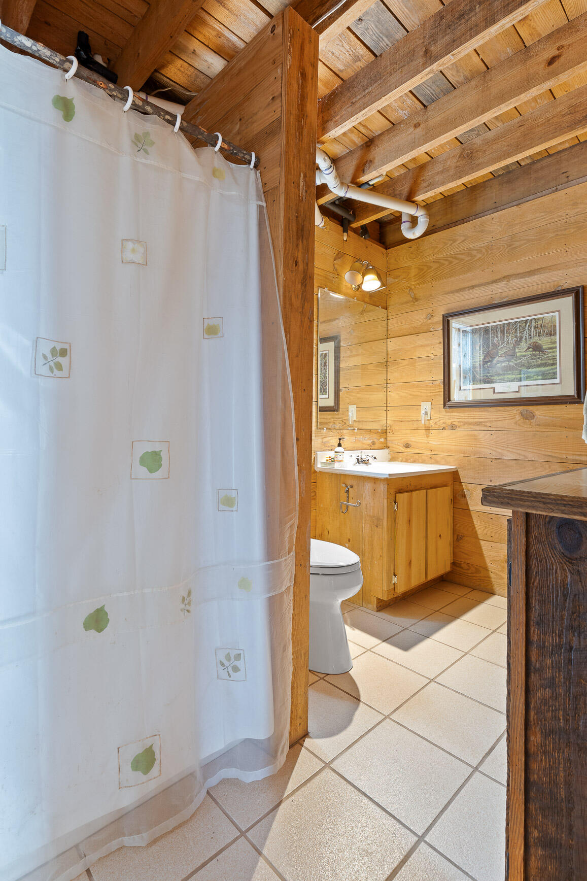 2255 County Road 865, Gaylesville, Alabama image 38