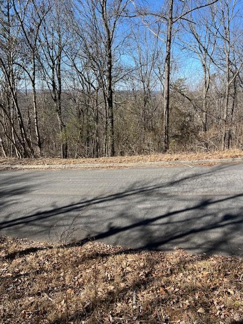 108/109 Battleline Drive, Rocky Face, Georgia image 2