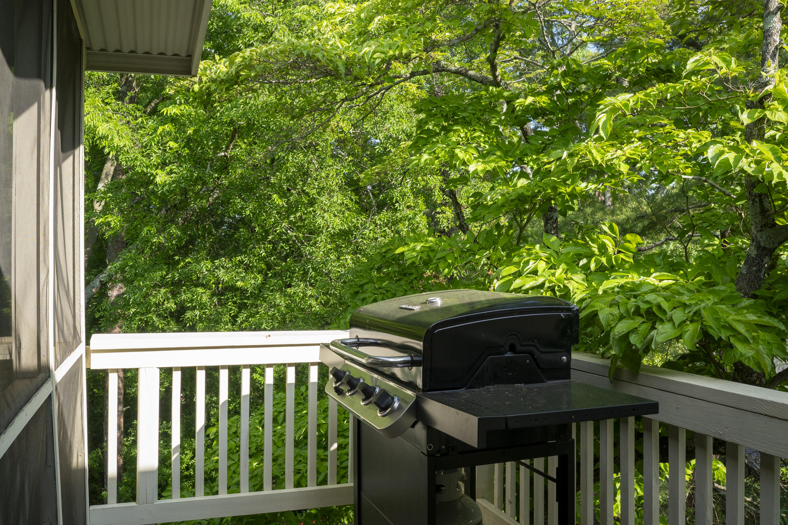 3701 Mary Anna Drive, Chattanooga, Tennessee image 38