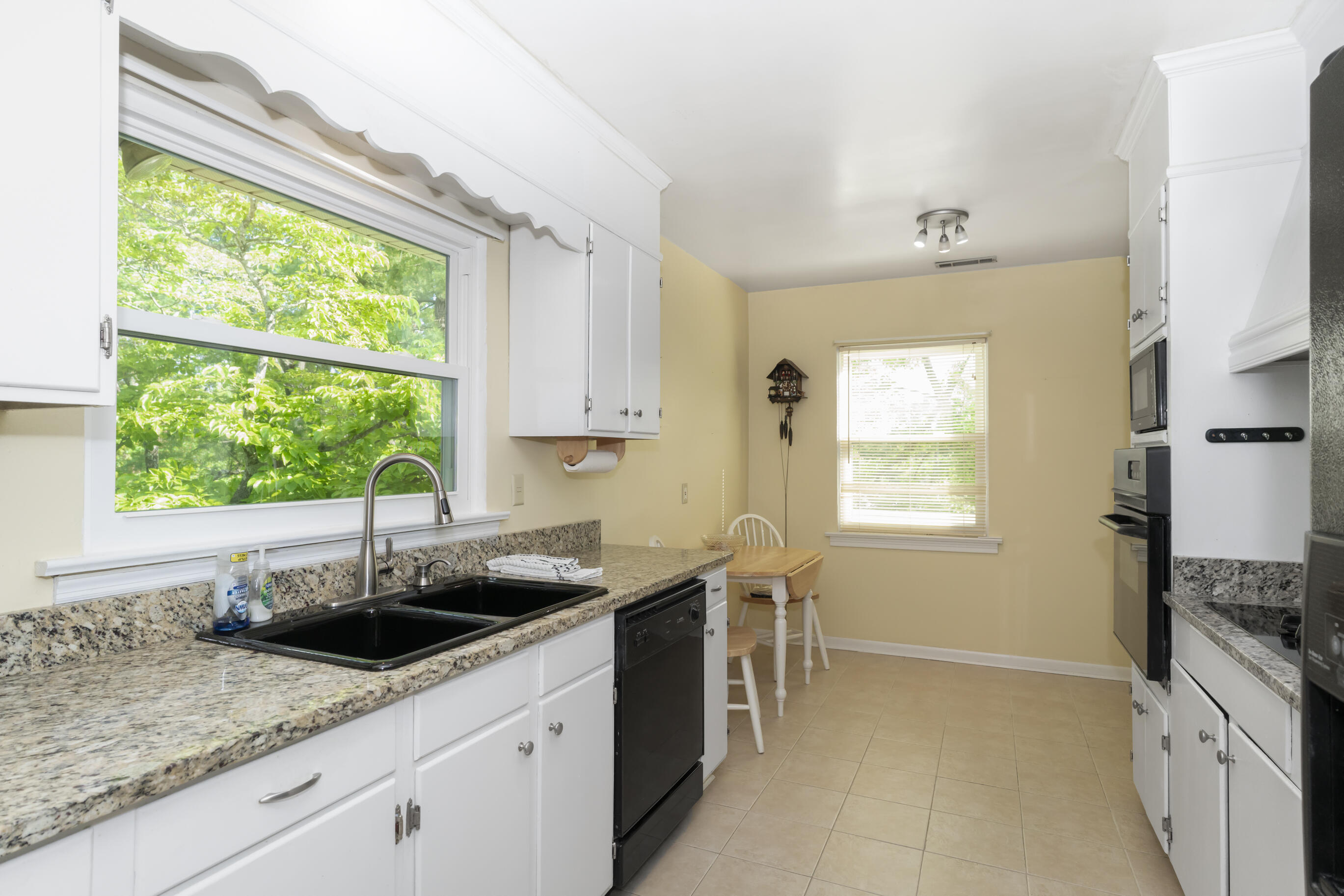 3701 Mary Anna Drive, Chattanooga, Tennessee image 12
