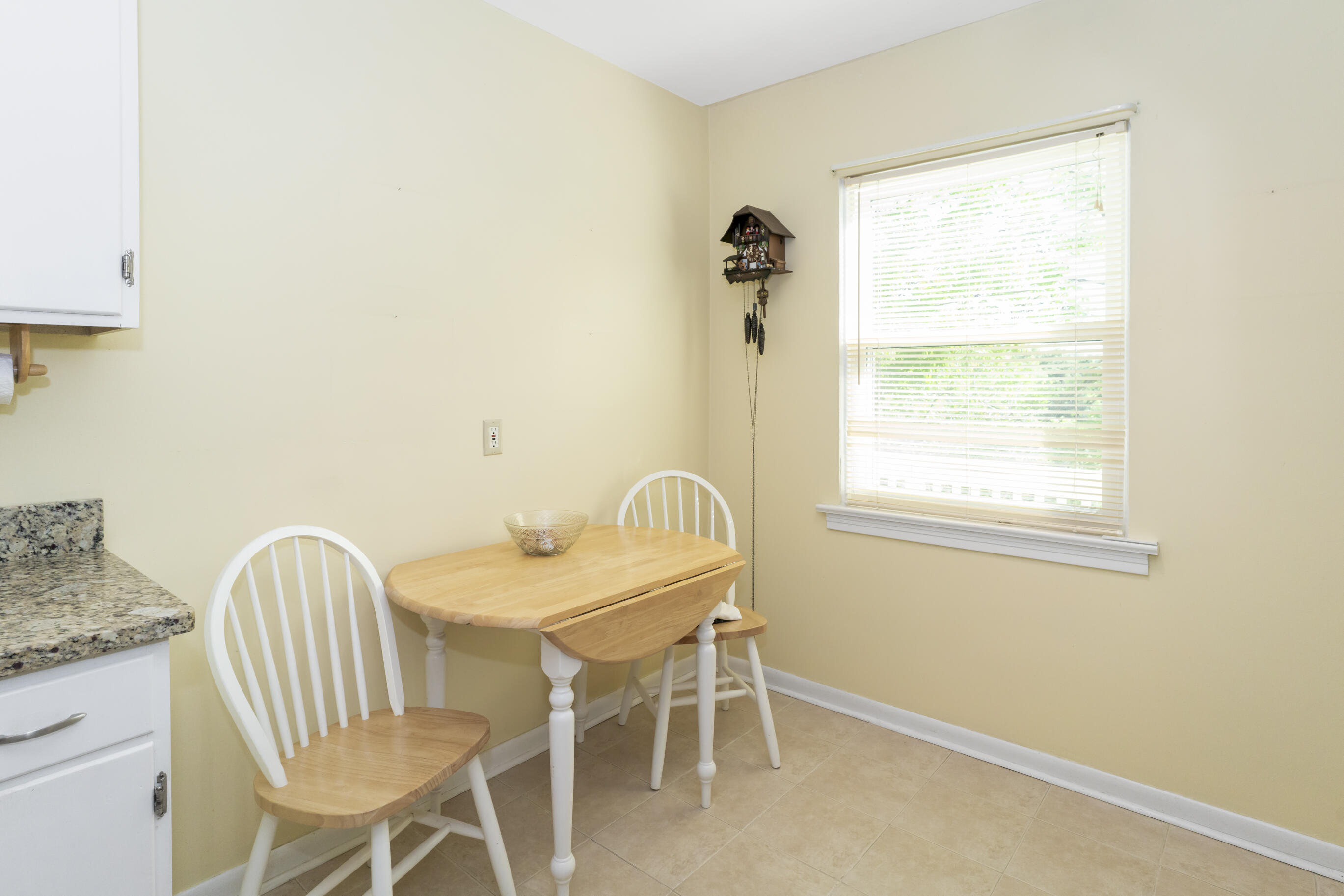 3701 Mary Anna Drive, Chattanooga, Tennessee image 14