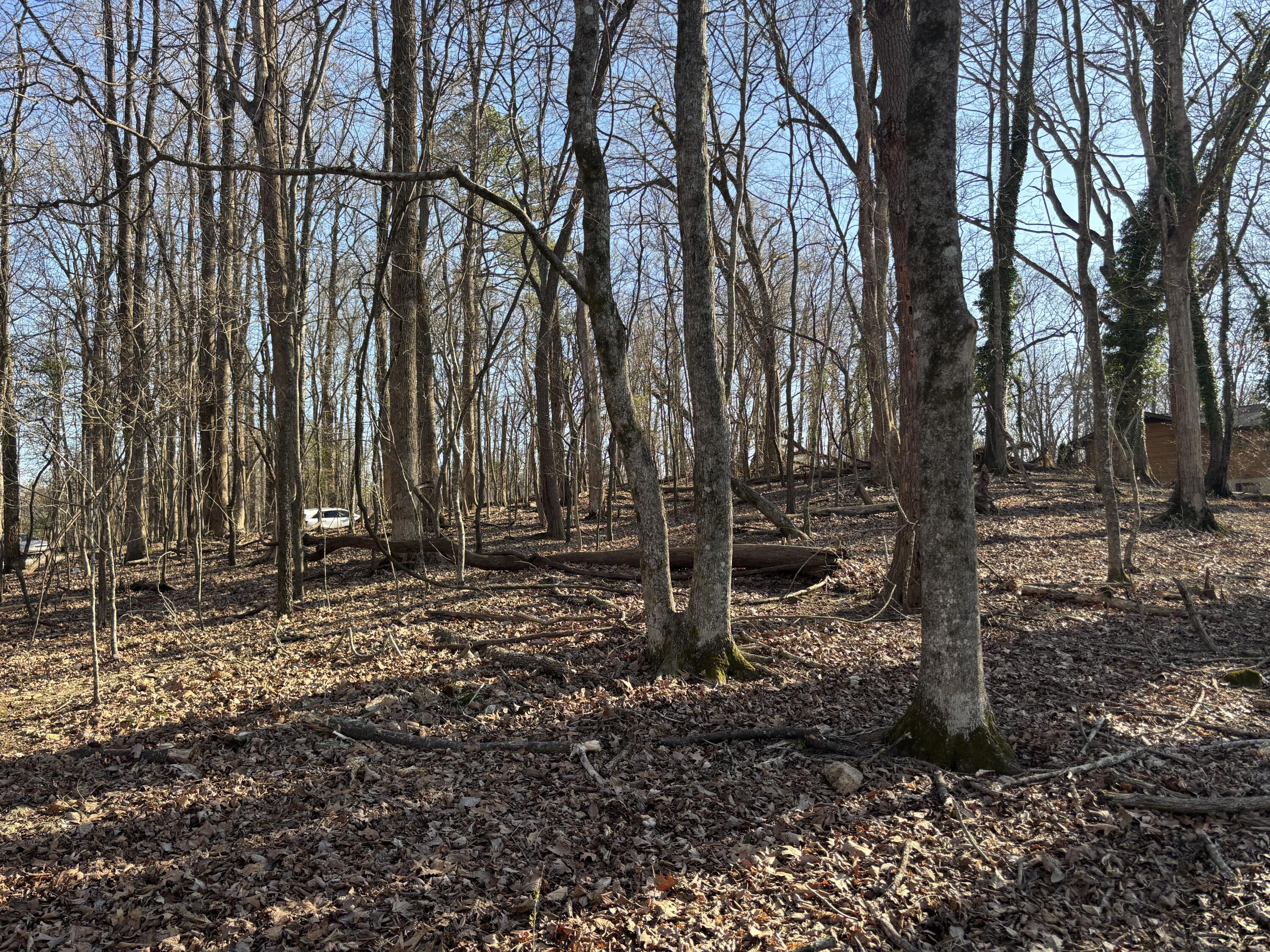 00 Crestwood Lot 27 Trail, Harrison, Tennessee image 11