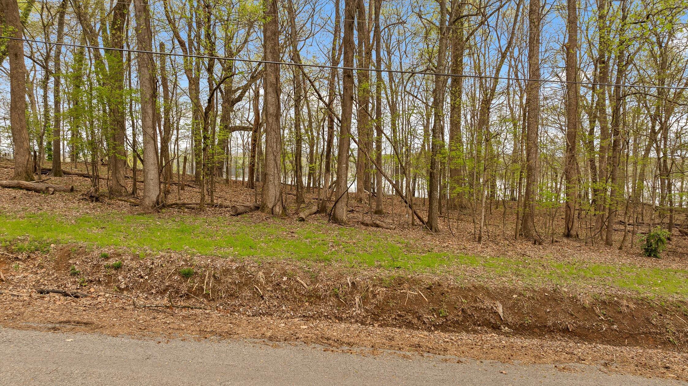 00 Crestwood Lot 27 Trail, Harrison, Tennessee image 32