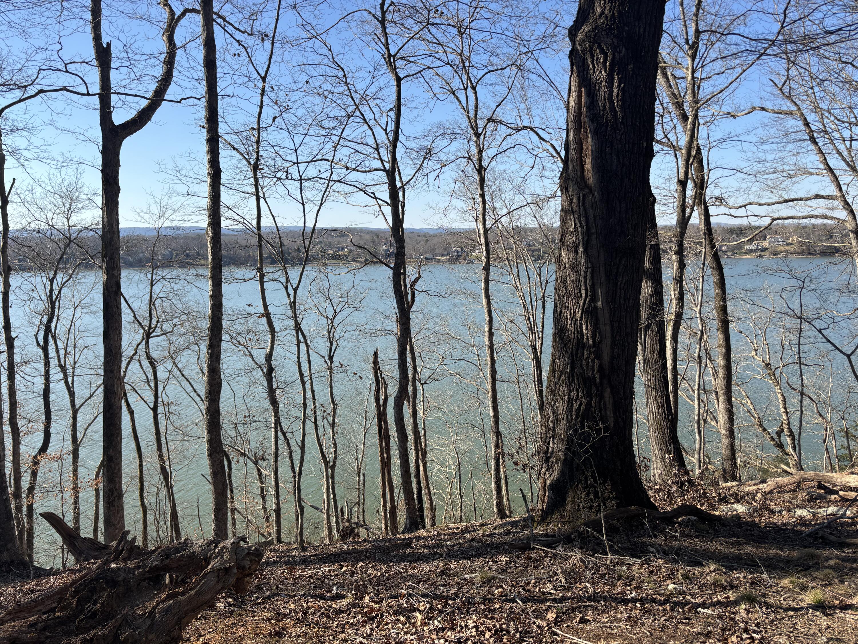00 Crestwood Lot 27 Trail, Harrison, Tennessee image 9