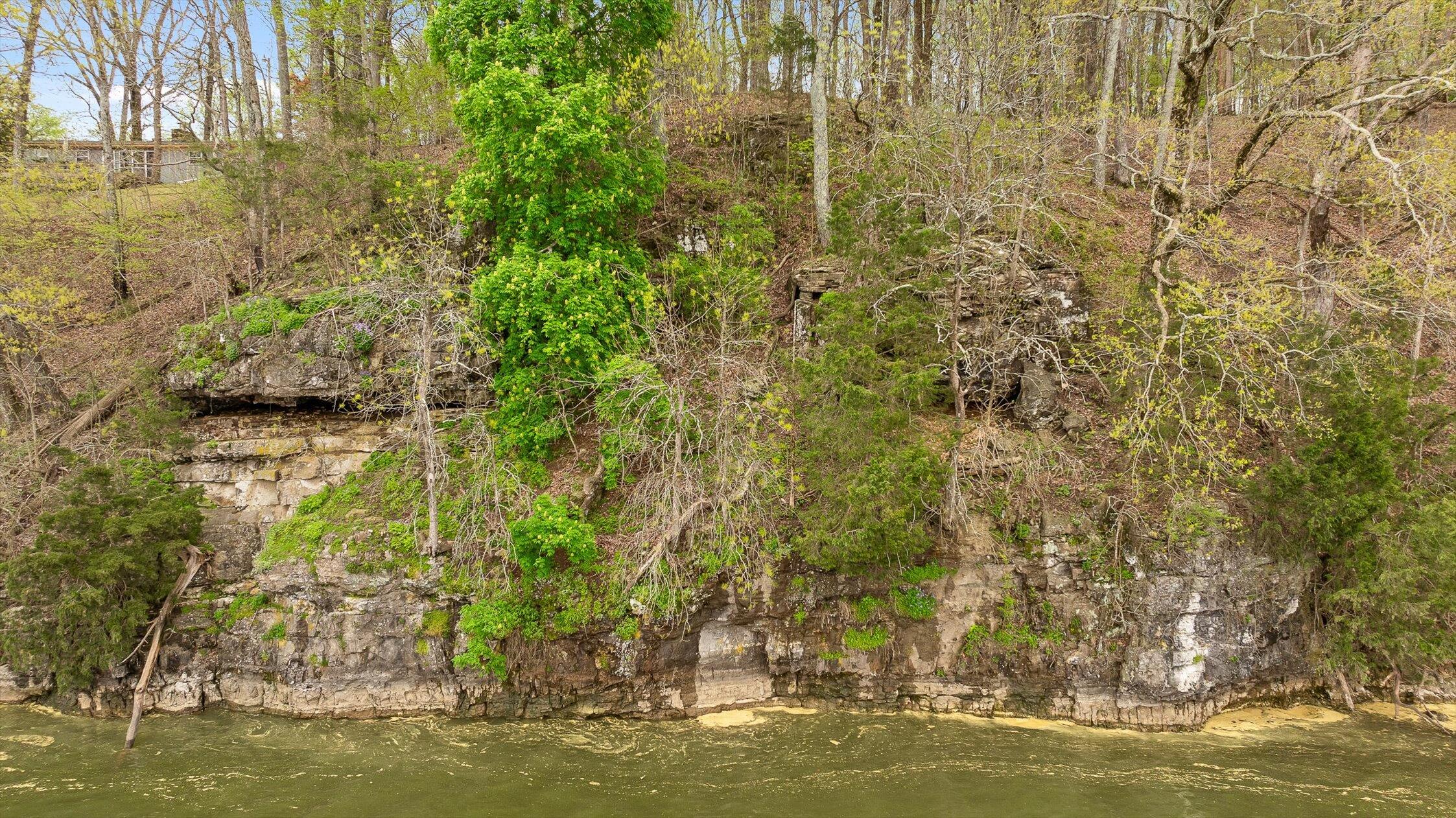 00 Crestwood Lot 27 Trail, Harrison, Tennessee image 28