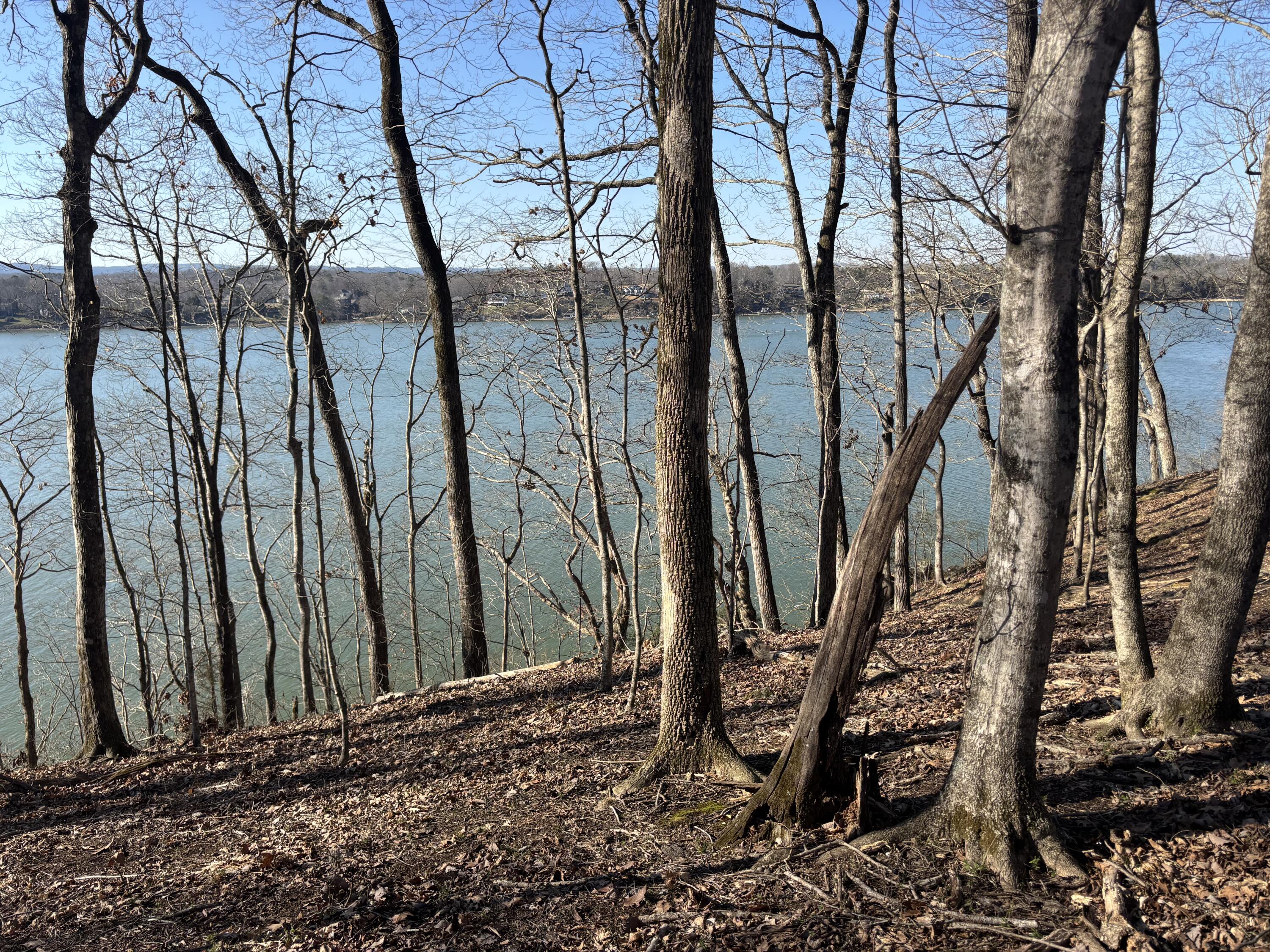 00 Crestwood Lot 27 Trail, Harrison, Tennessee image 8