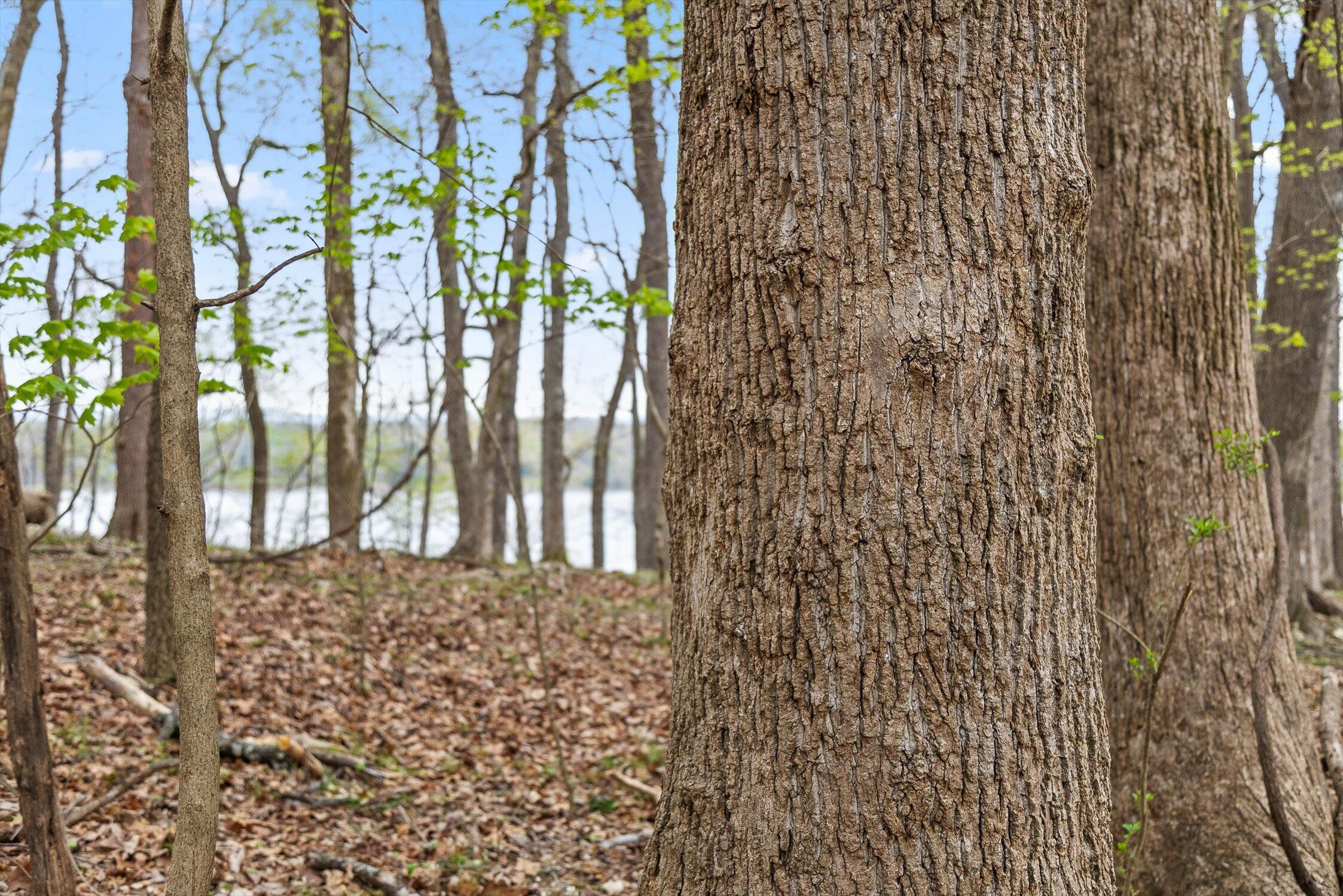 00 Crestwood Lot 27 Trail, Harrison, Tennessee image 12