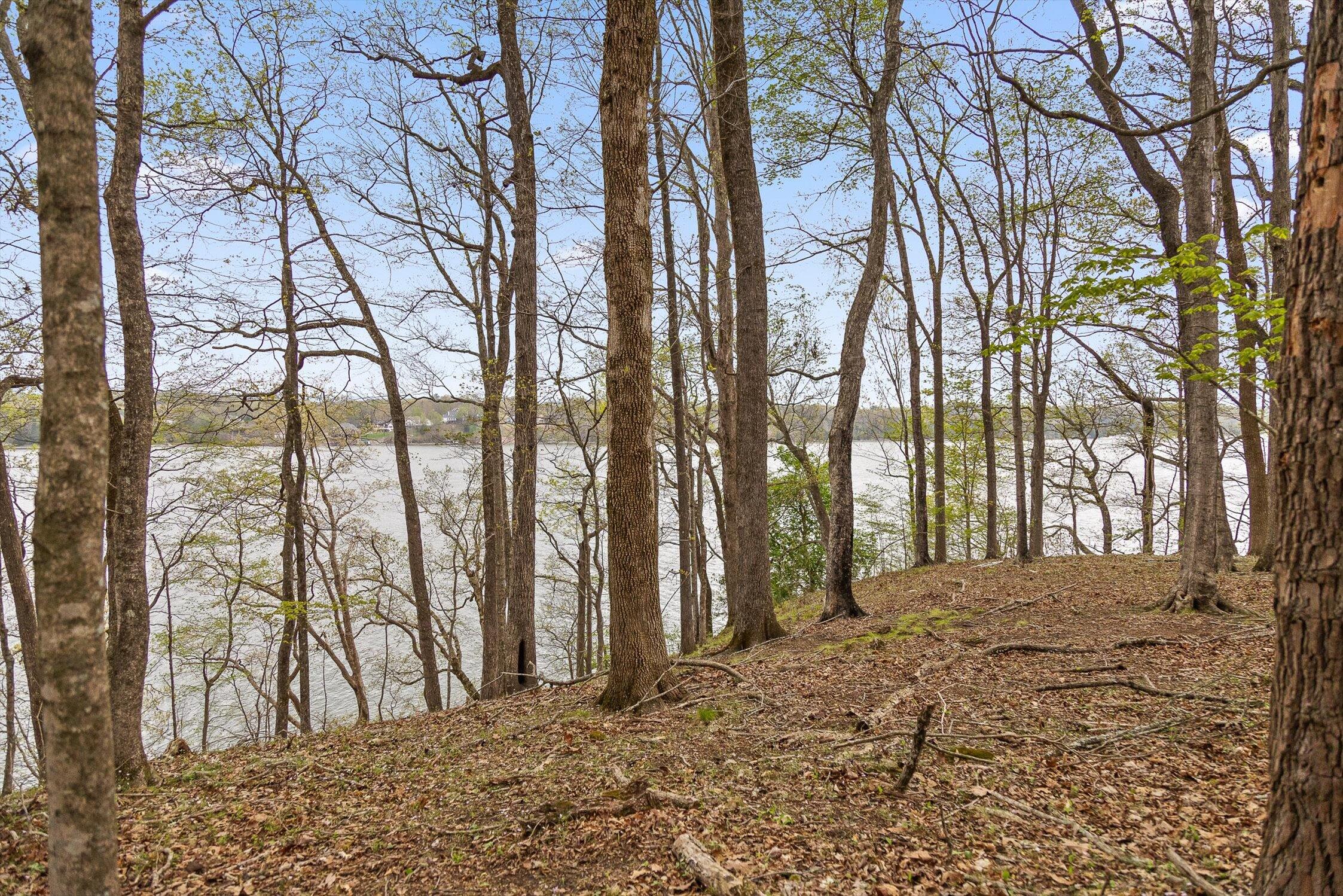 00 Crestwood Lot 27 Trail, Harrison, Tennessee image 13